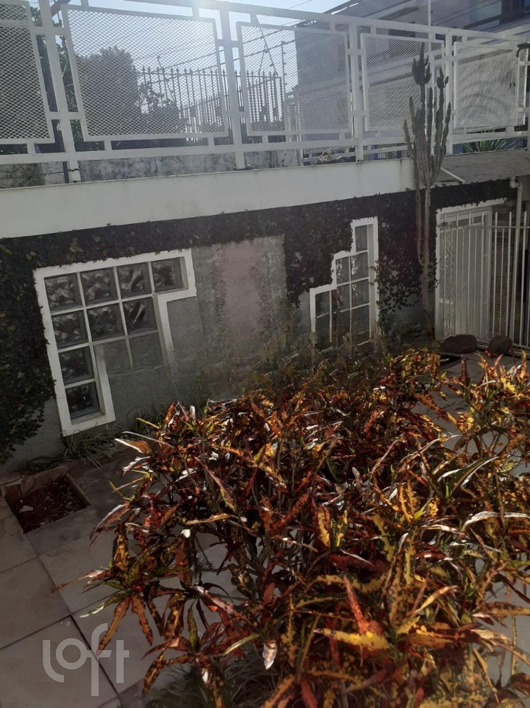 Imagem da propriedade 4