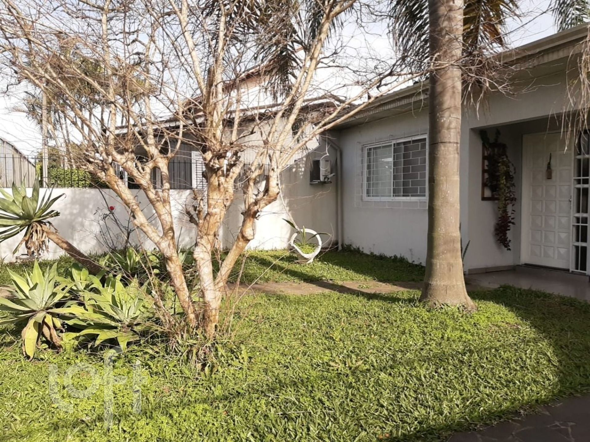 Imagem da propriedade 3