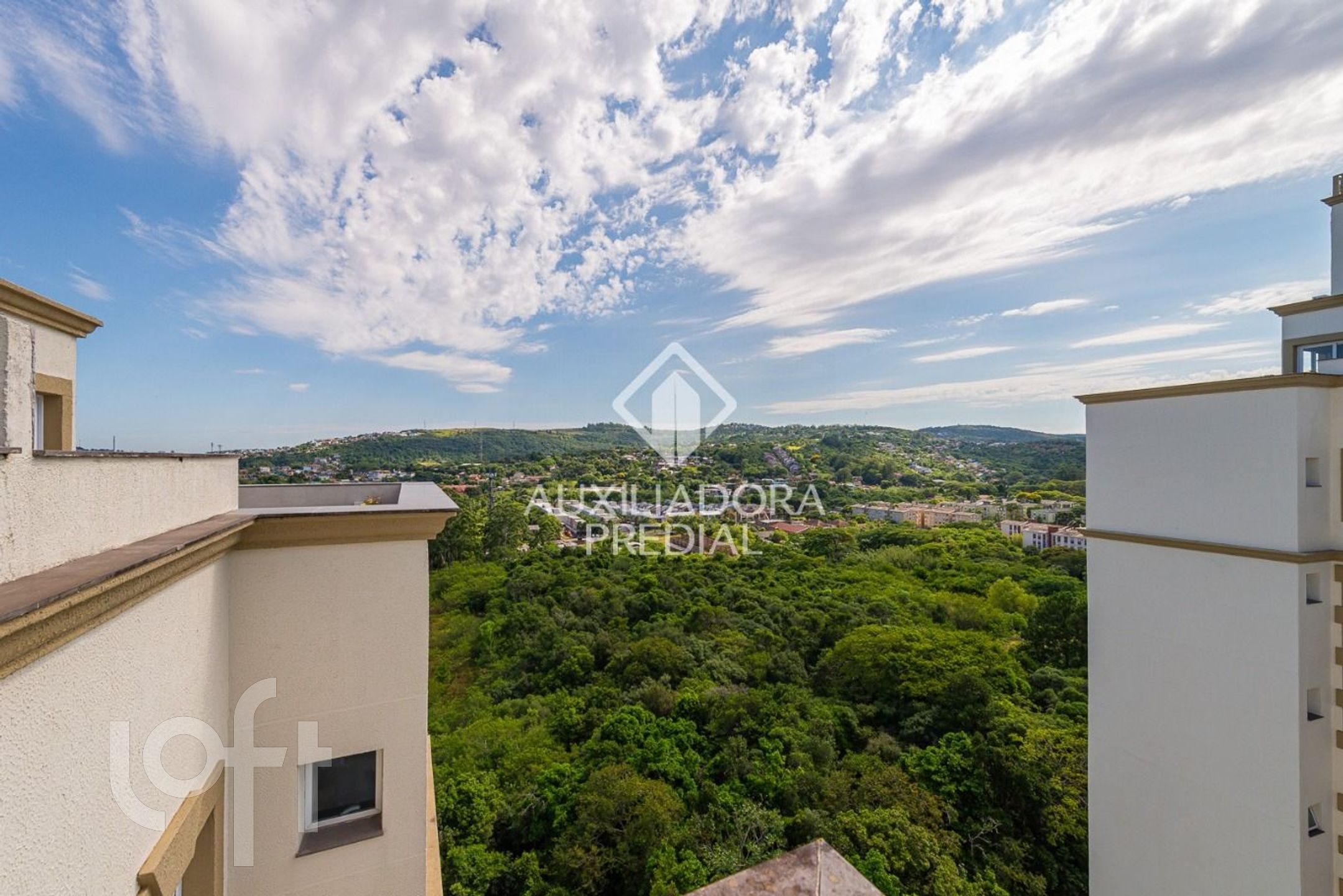 Imagem da propriedade 14