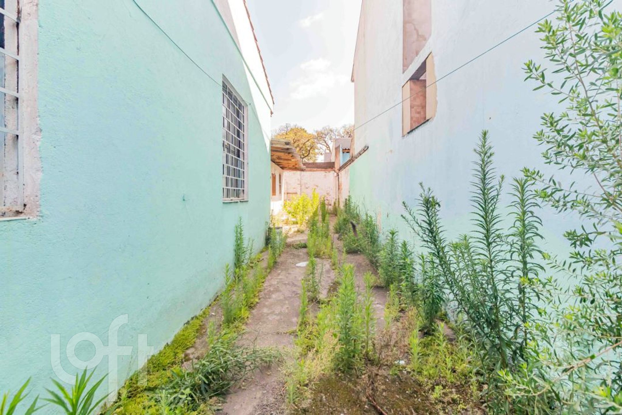 Imagem da propriedade 21