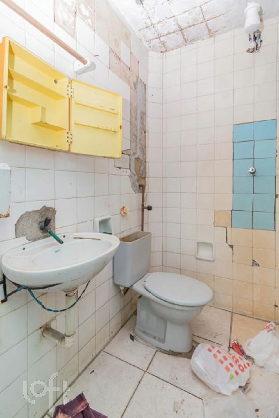 Imagem da propriedade 13