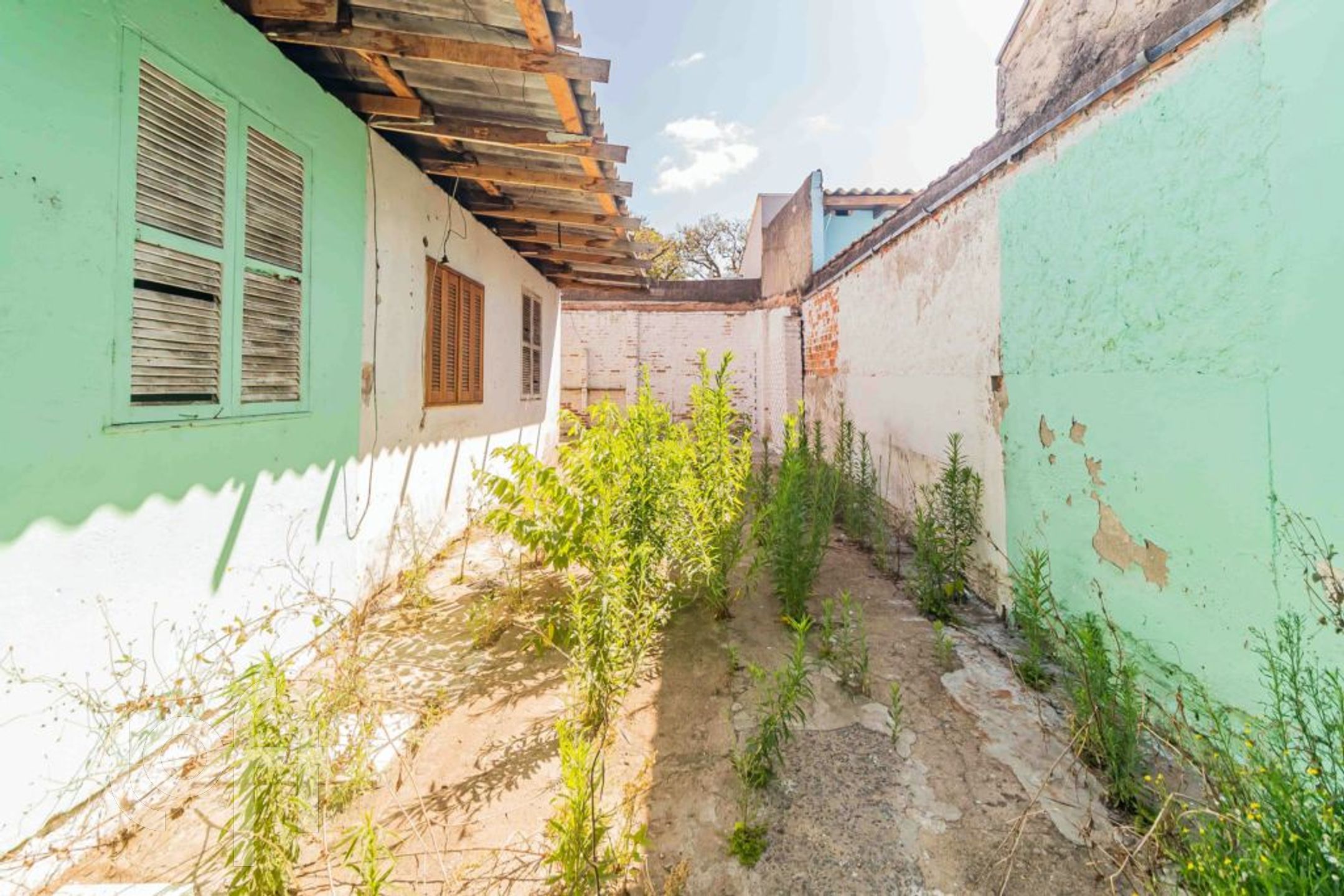 Imagem da propriedade 20