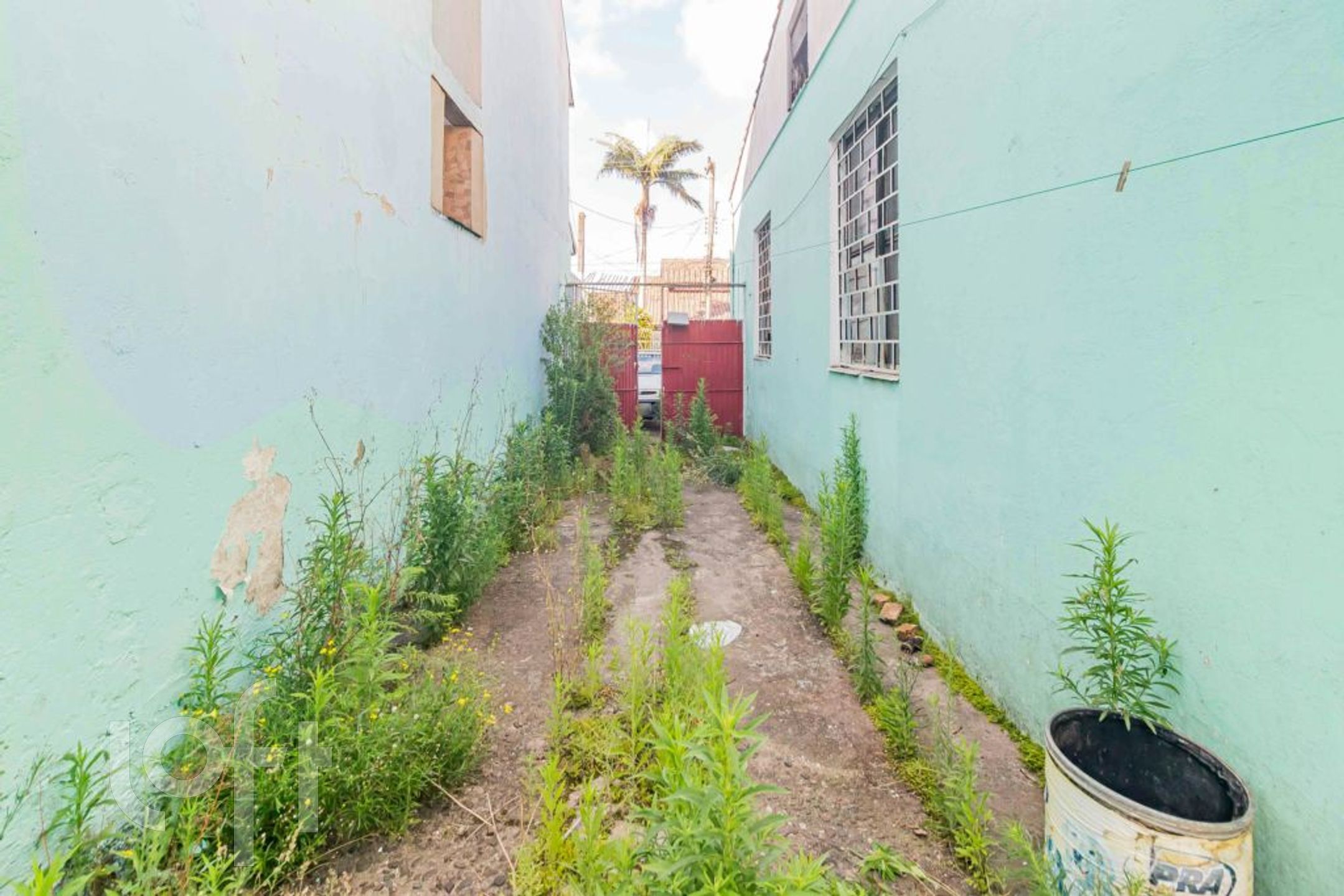 Imagem da propriedade 19