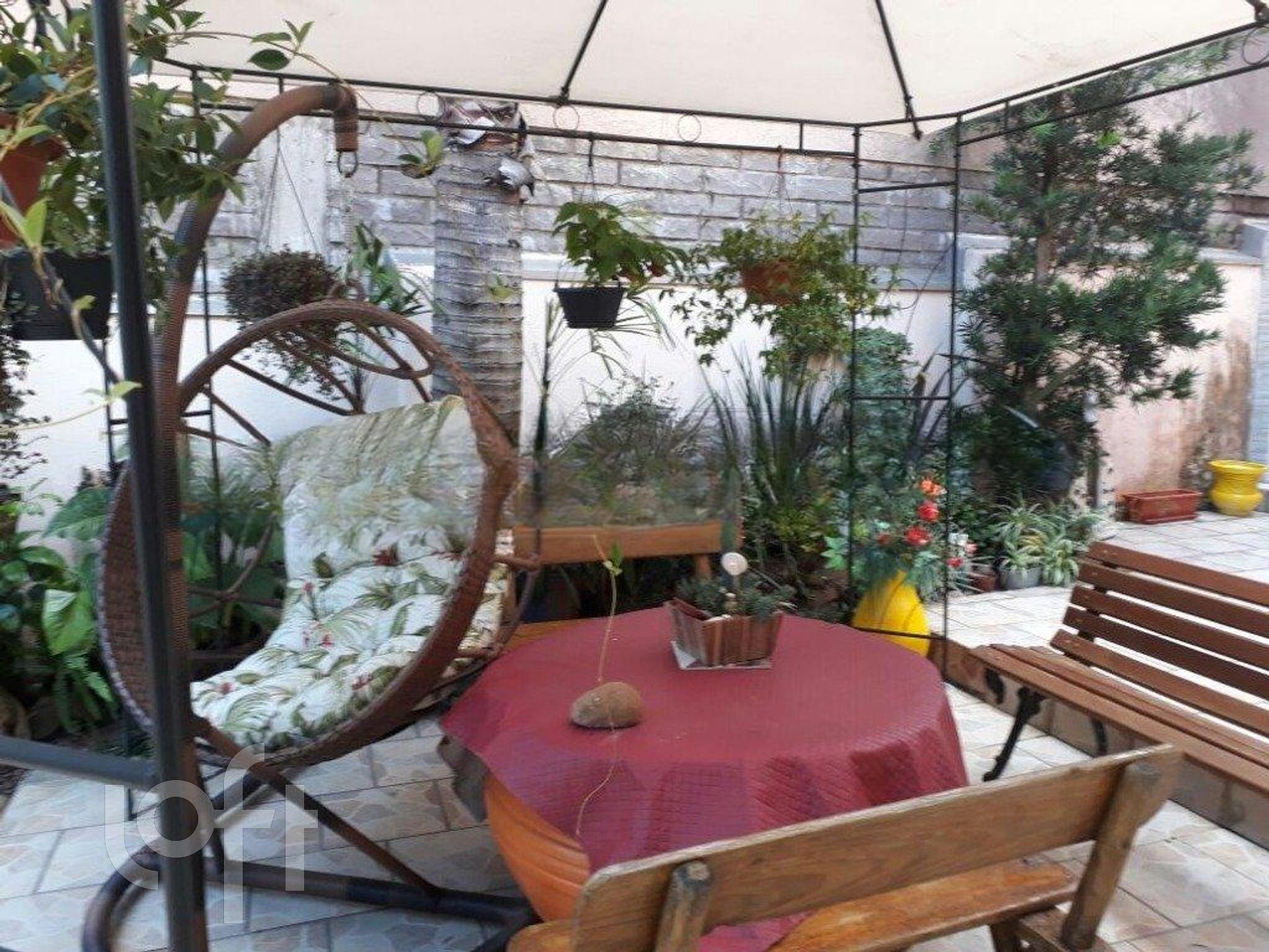 Imagem da propriedade 35