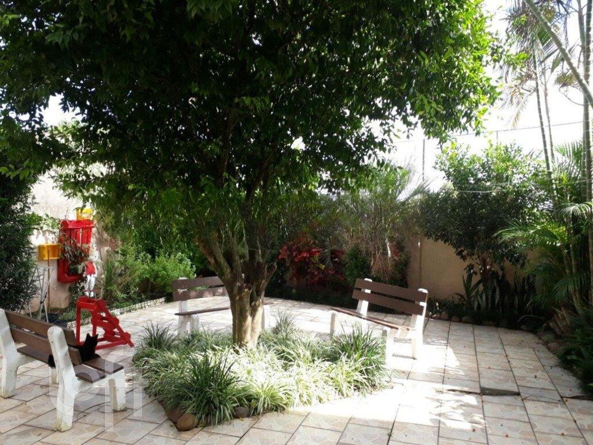 Imagem da propriedade 40