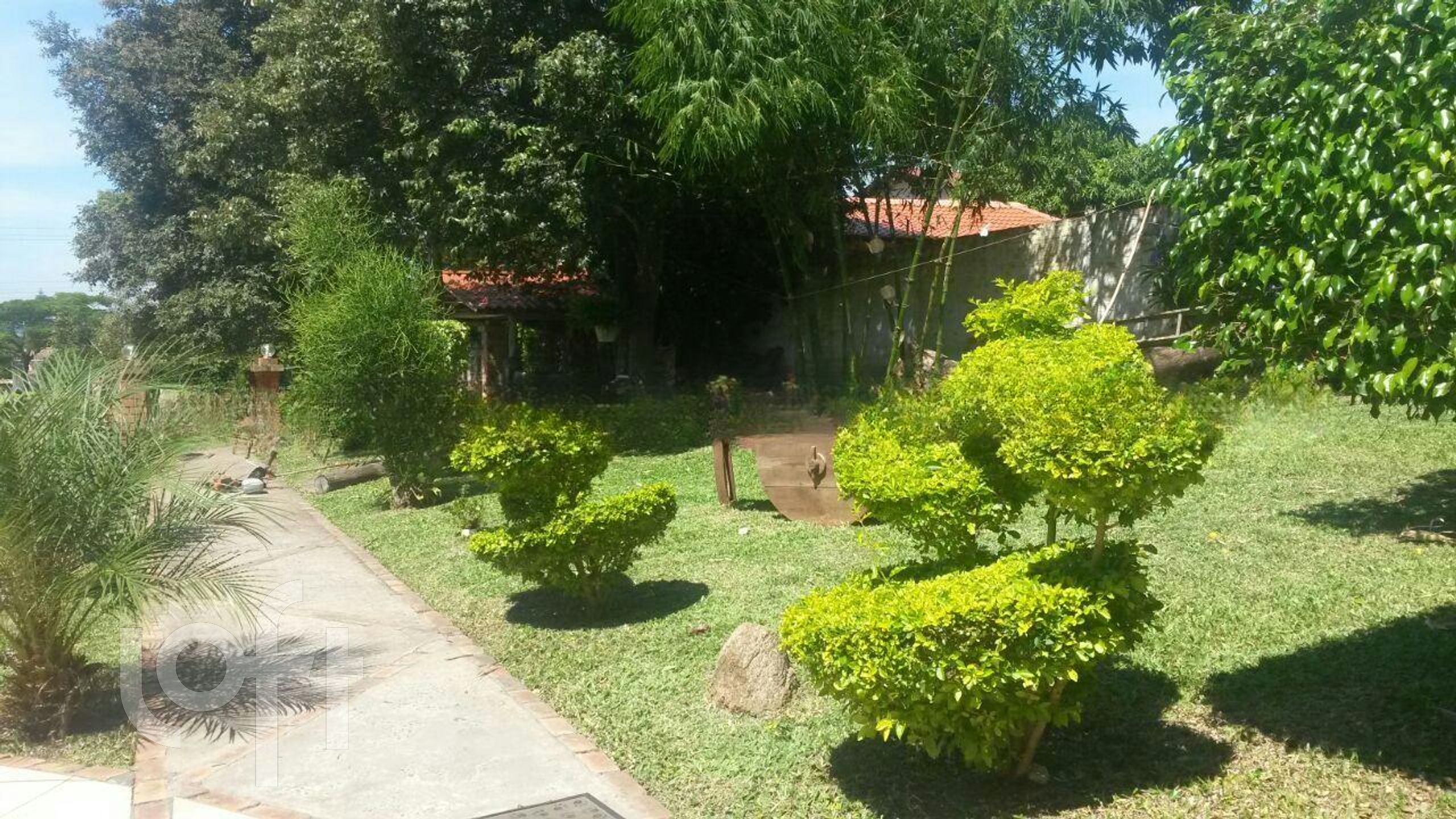 Imagem da propriedade 26