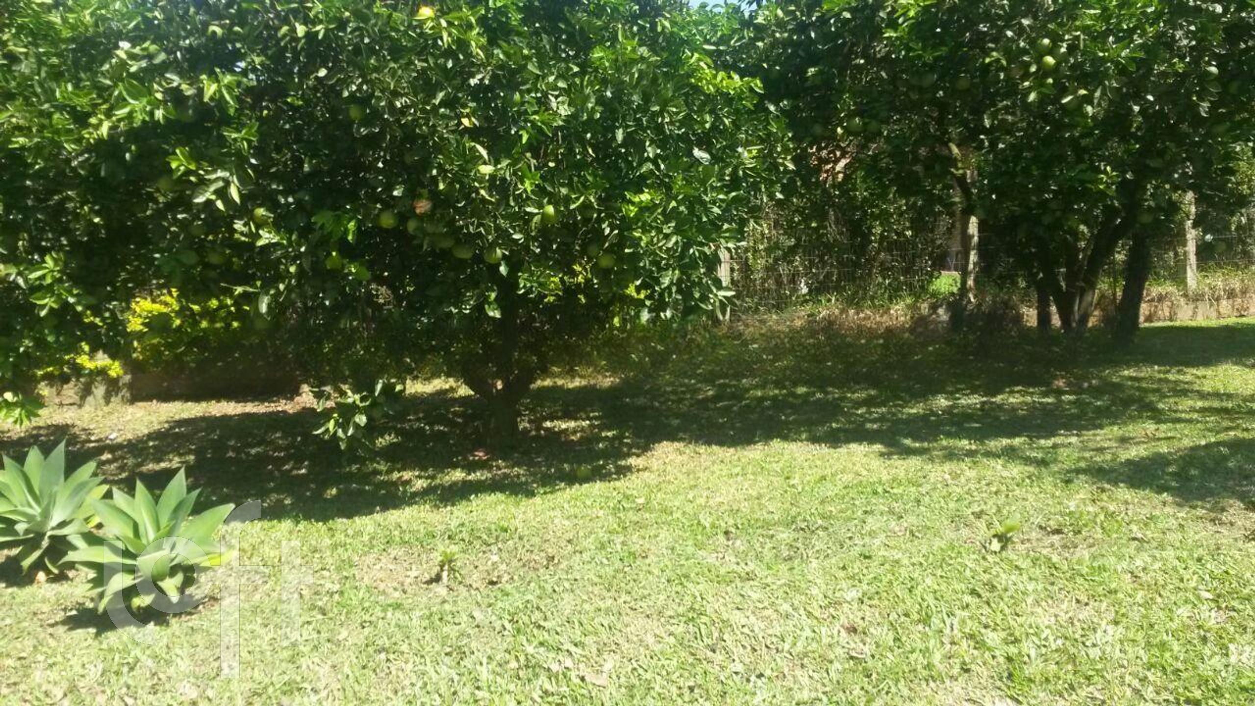 Imagem da propriedade 31