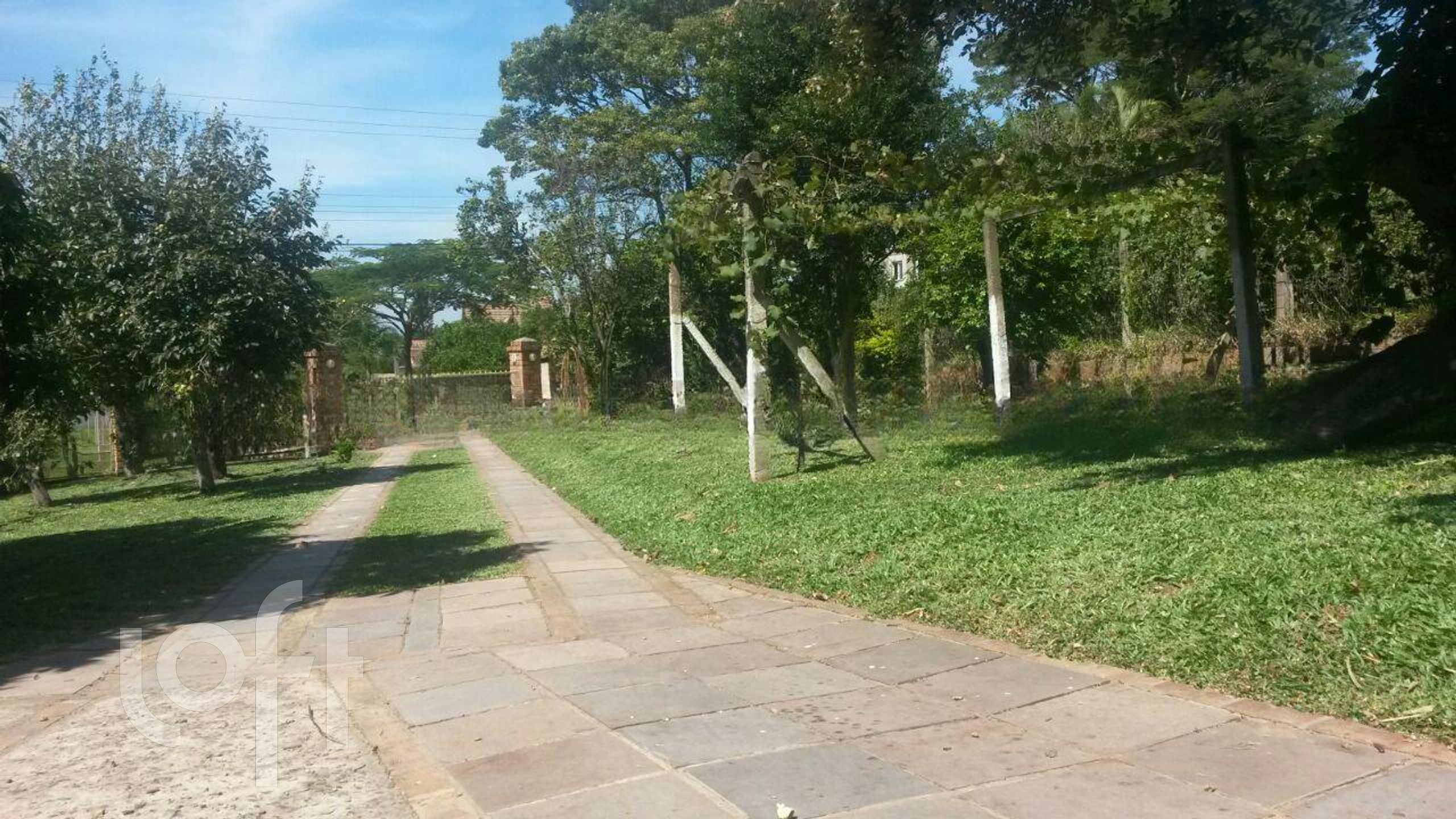 Imagem da propriedade 25