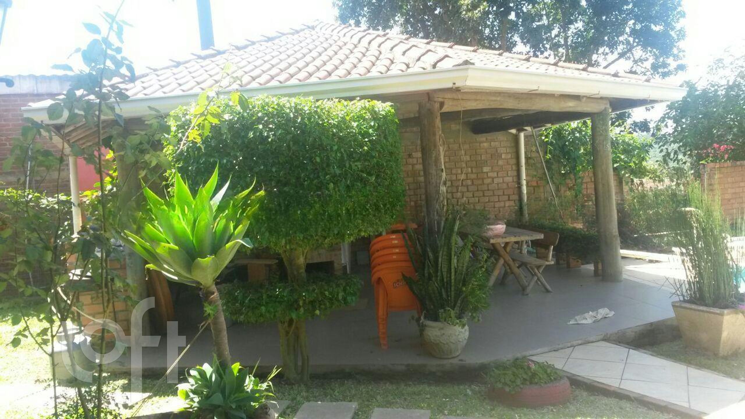 Imagem da propriedade 20