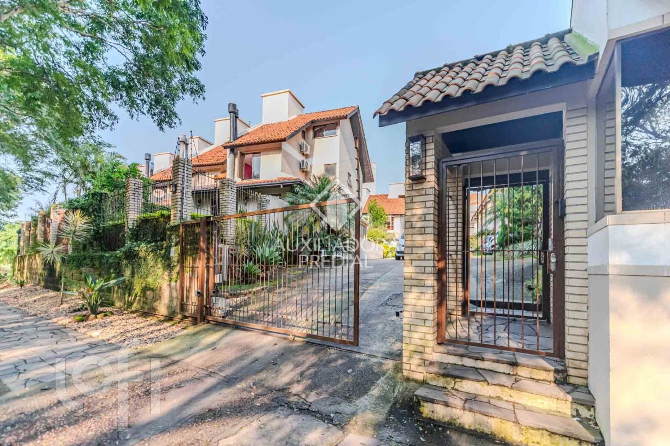 Imagem da propriedade 43