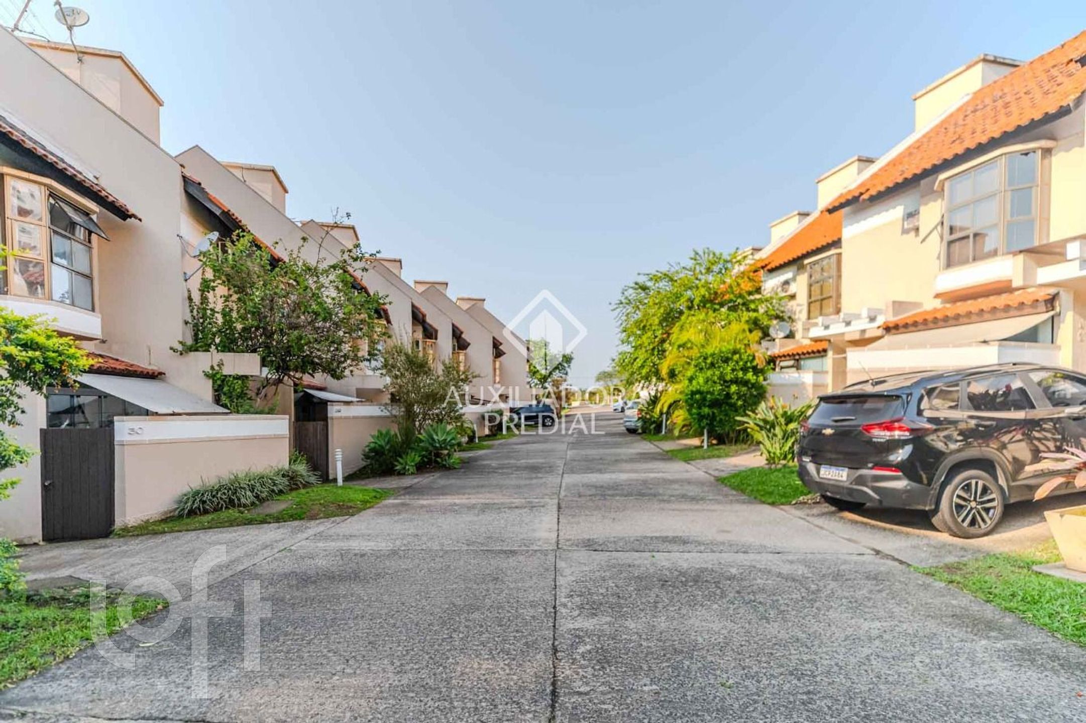 Imagem da propriedade 35