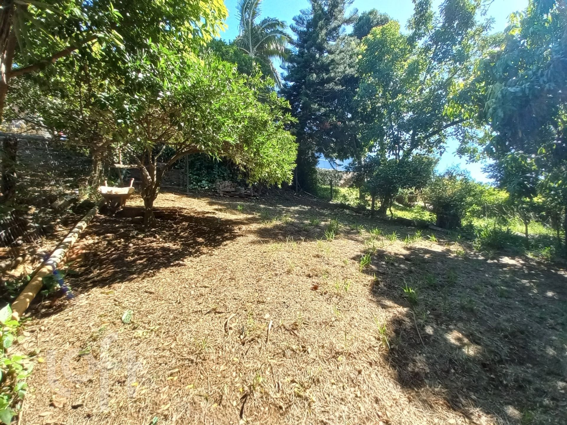 Imagem da propriedade 14