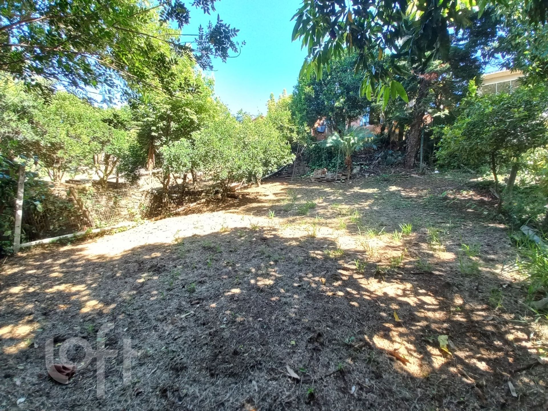 Imagem da propriedade 5