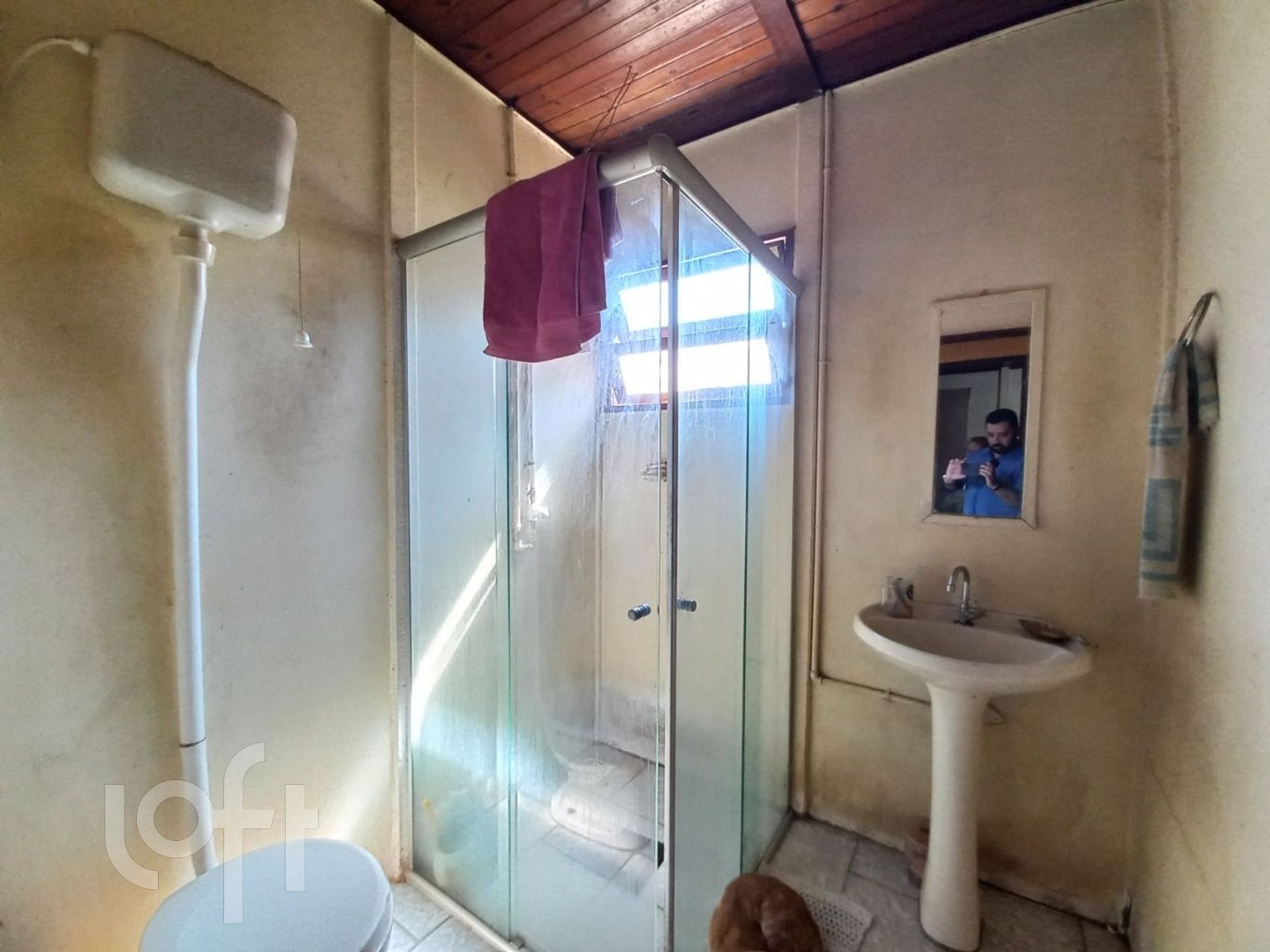 Imagem da propriedade 10