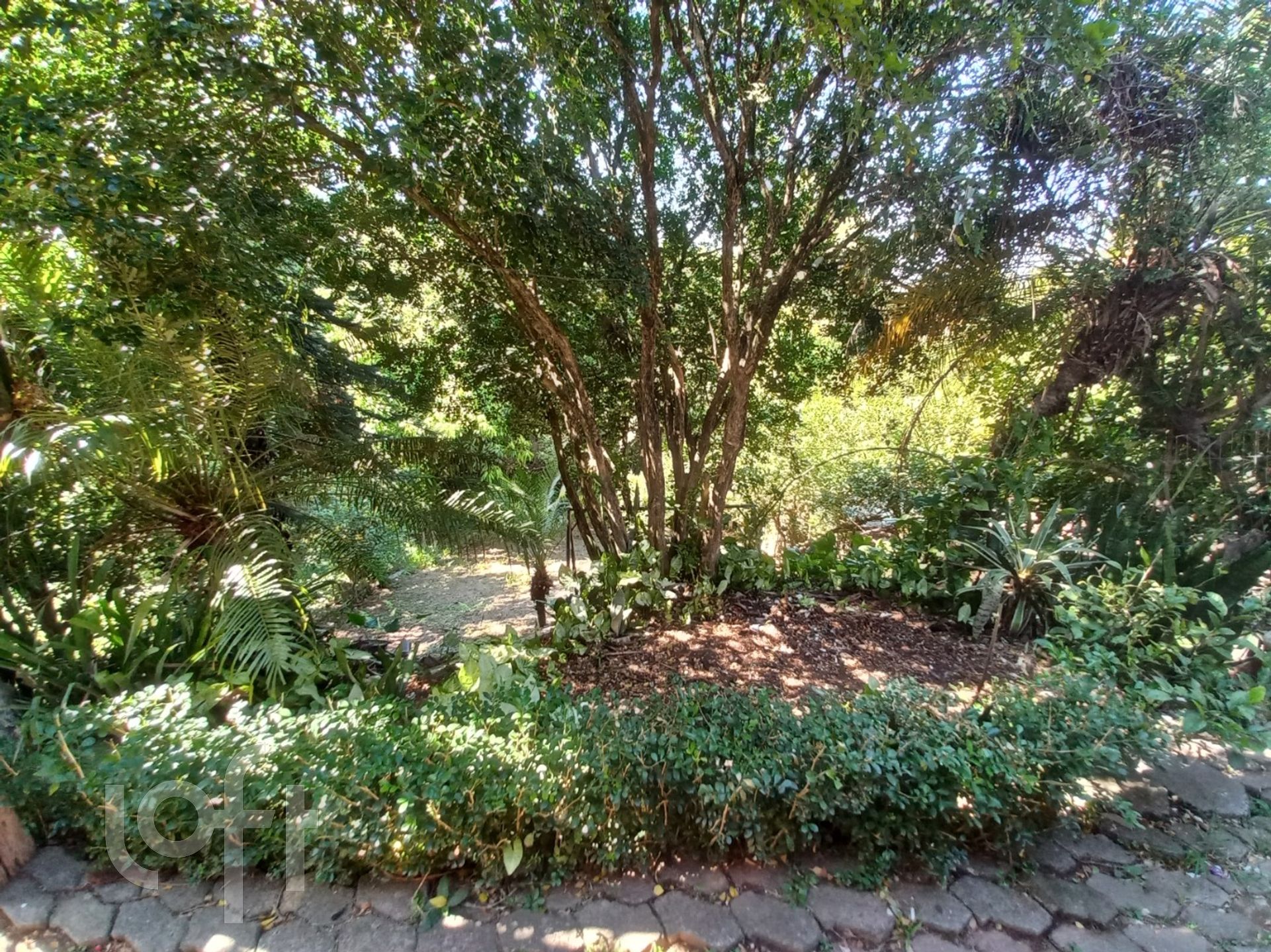 Imagem da propriedade 16