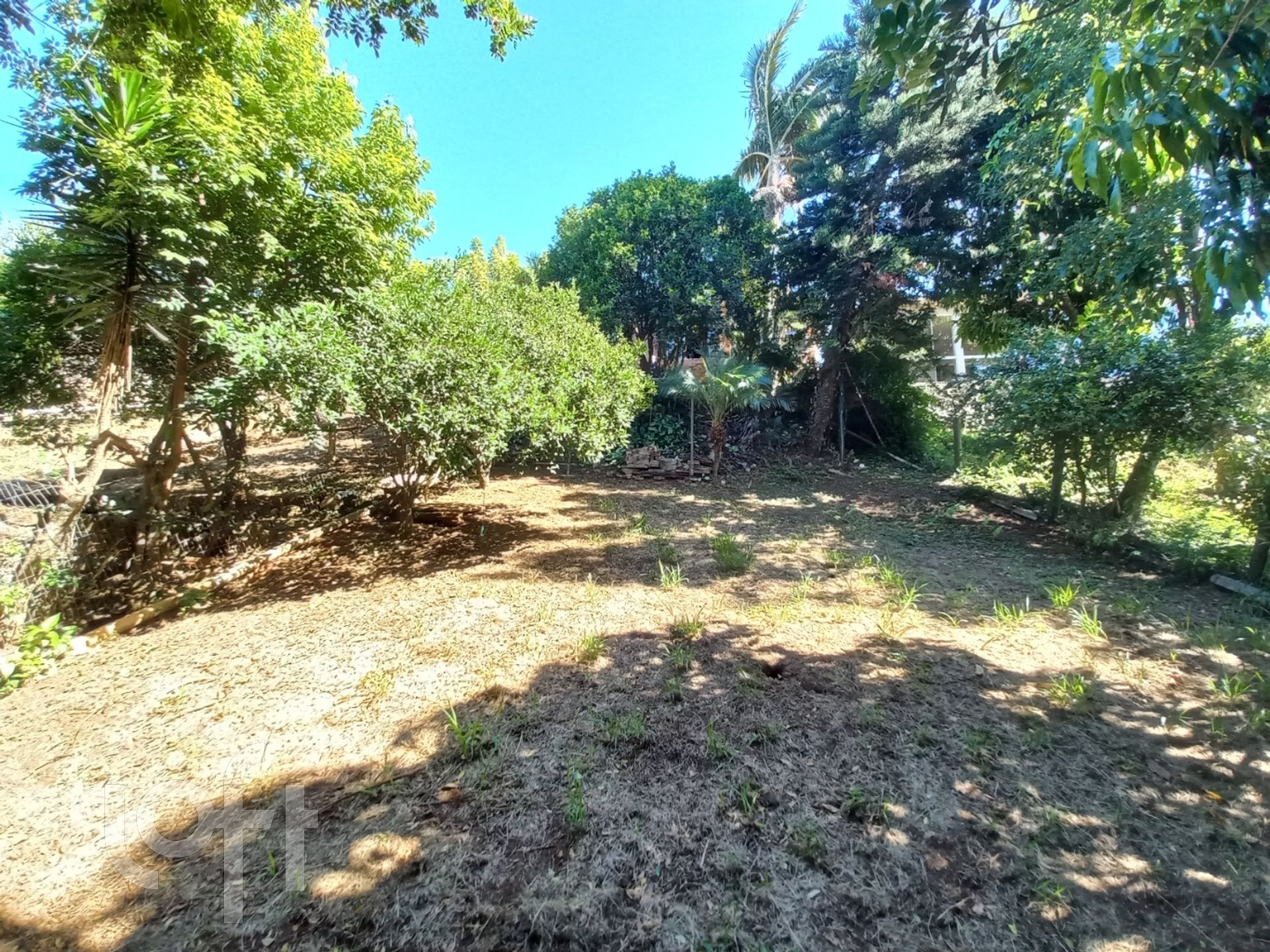 Imagem da propriedade 12