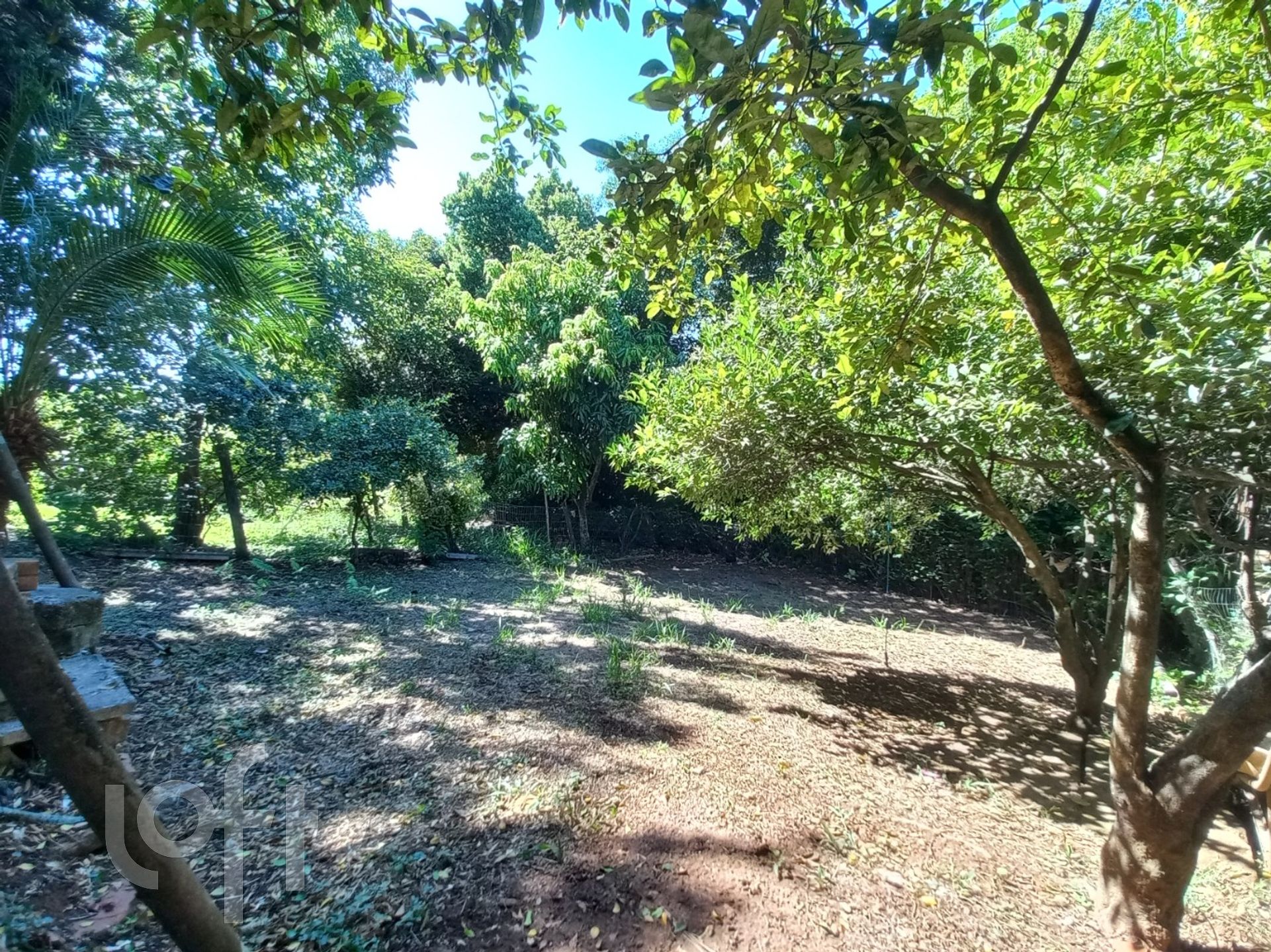 Imagem da propriedade 13