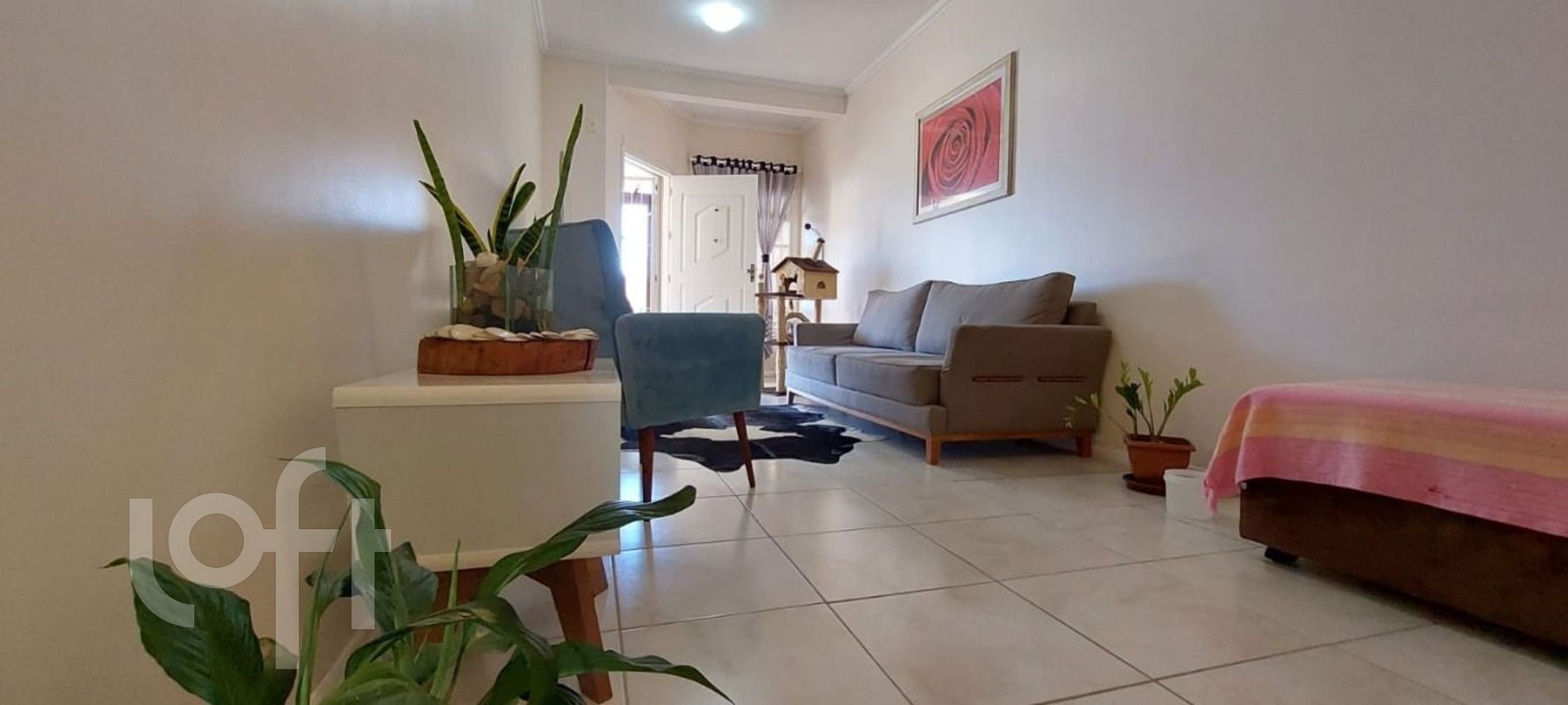 Imagem da propriedade 5