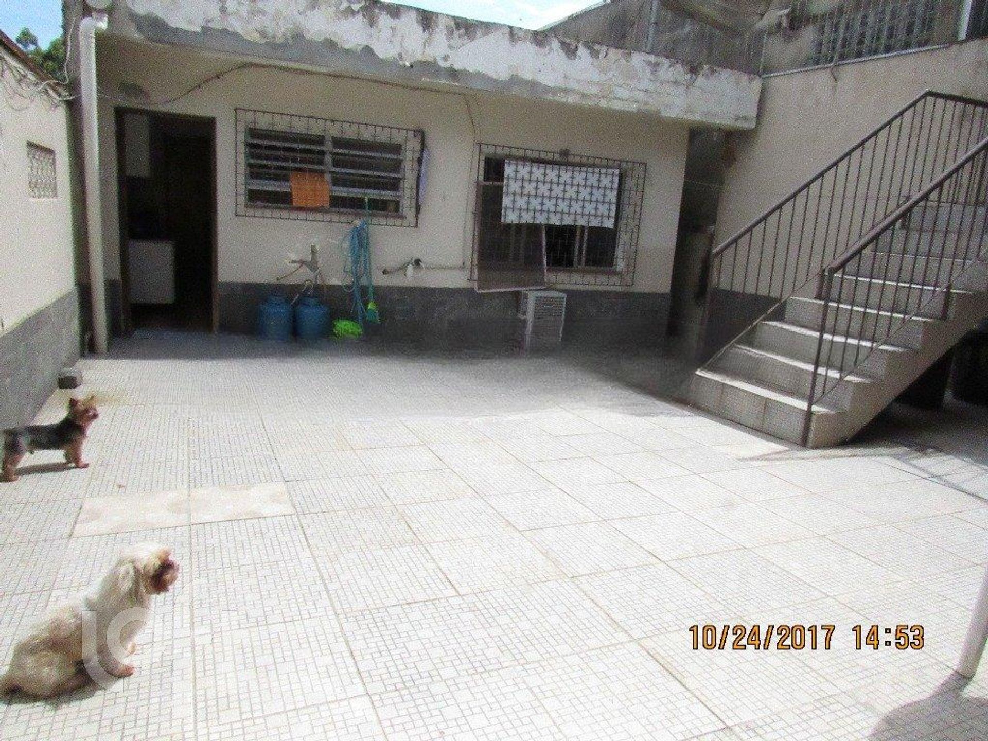 Imagem da propriedade 19