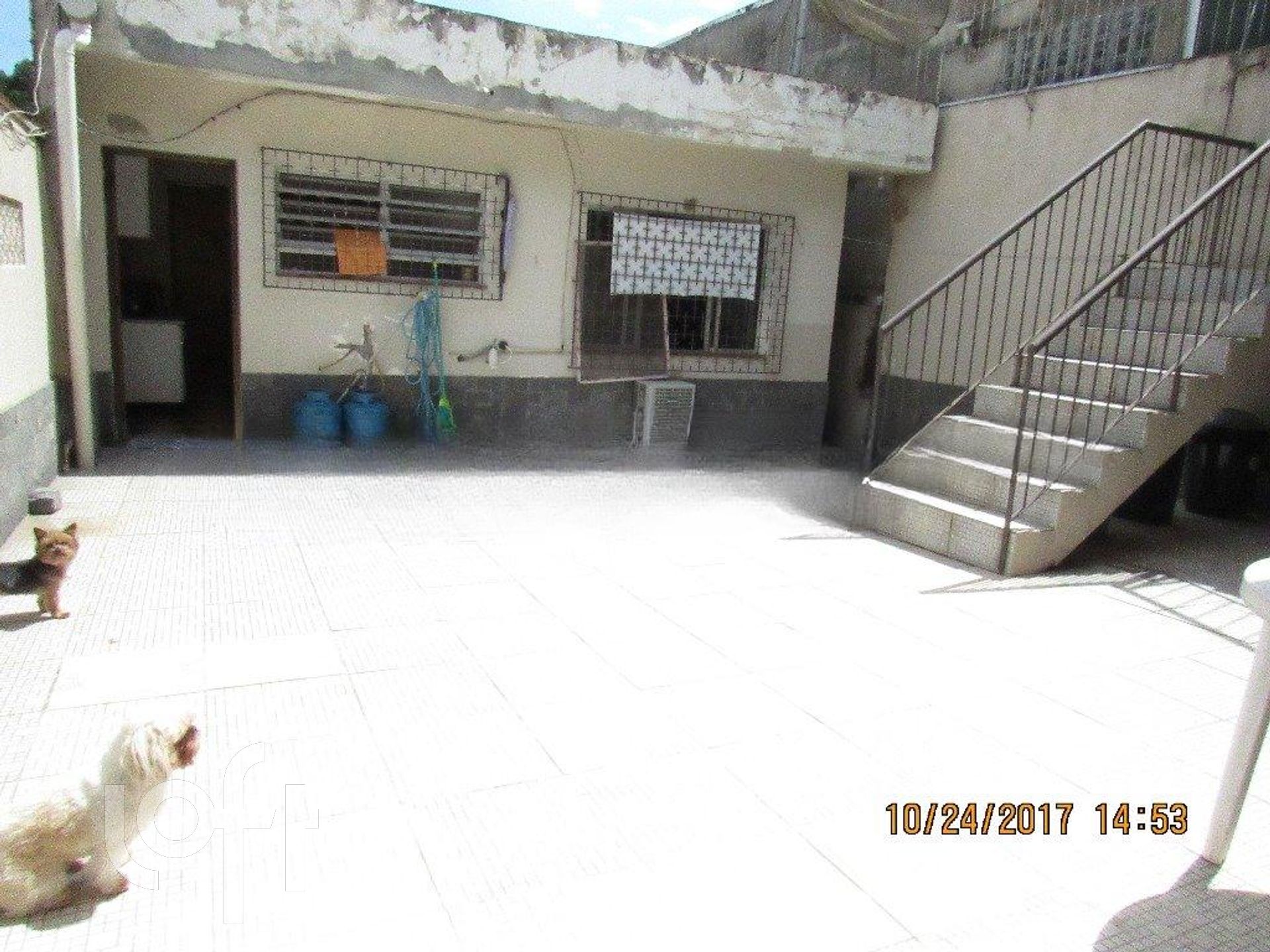 Imagem da propriedade 31