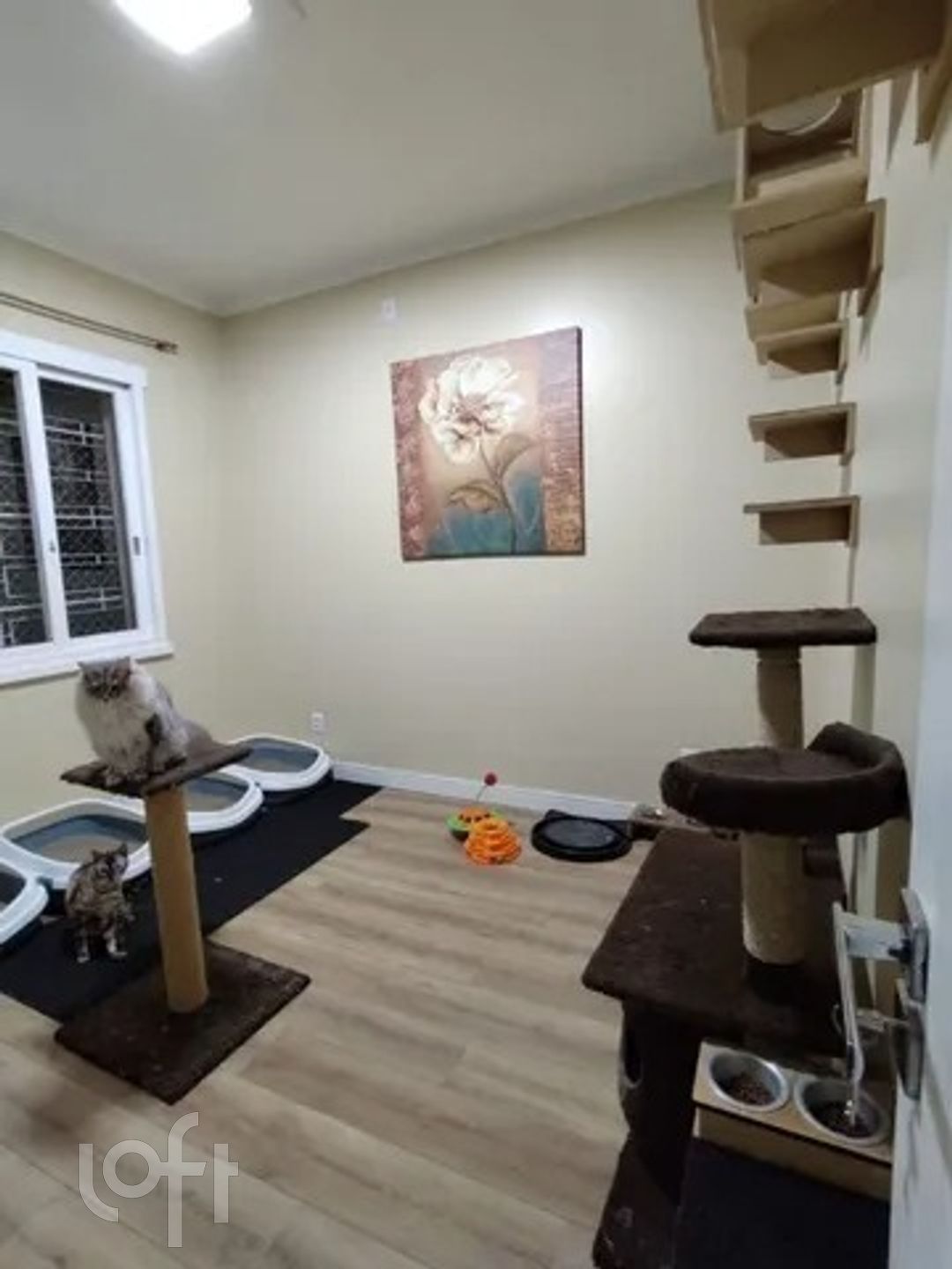 Imagem da propriedade 7