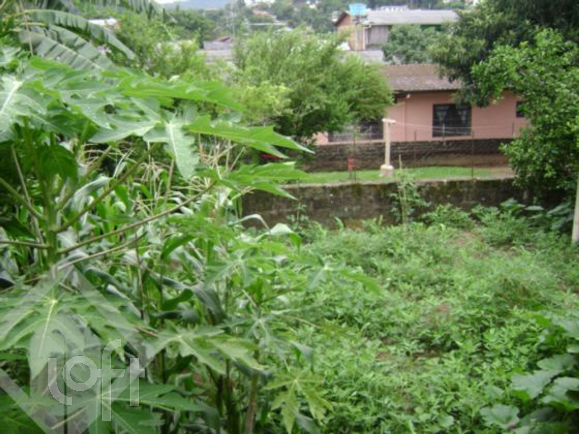 Imagem da propriedade 19