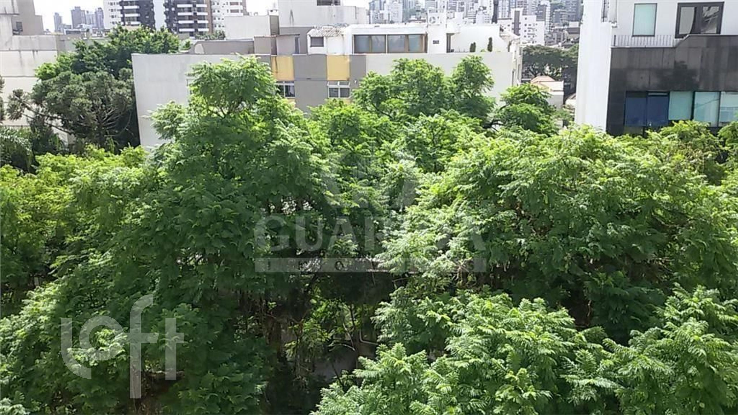 Imagem da propriedade 3