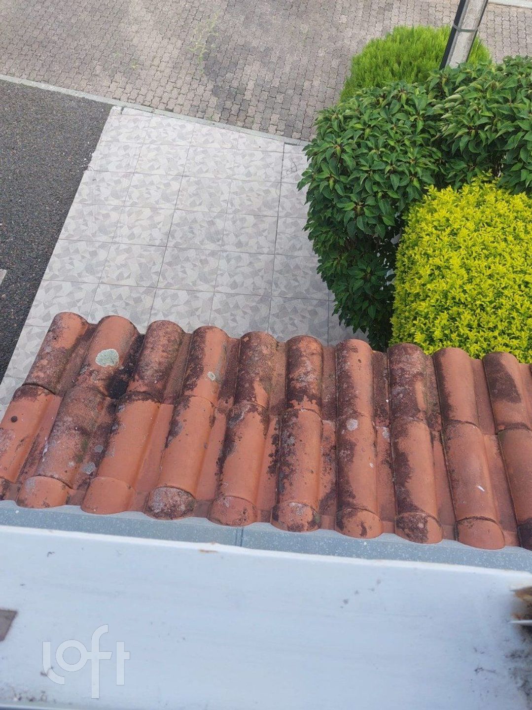 Imagem da propriedade 8