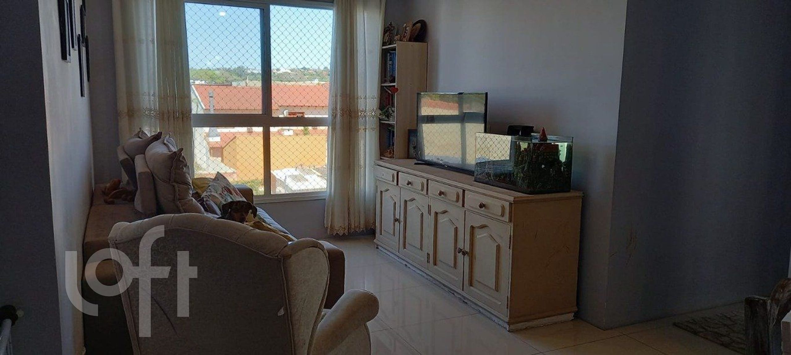 Imagem da propriedade 5