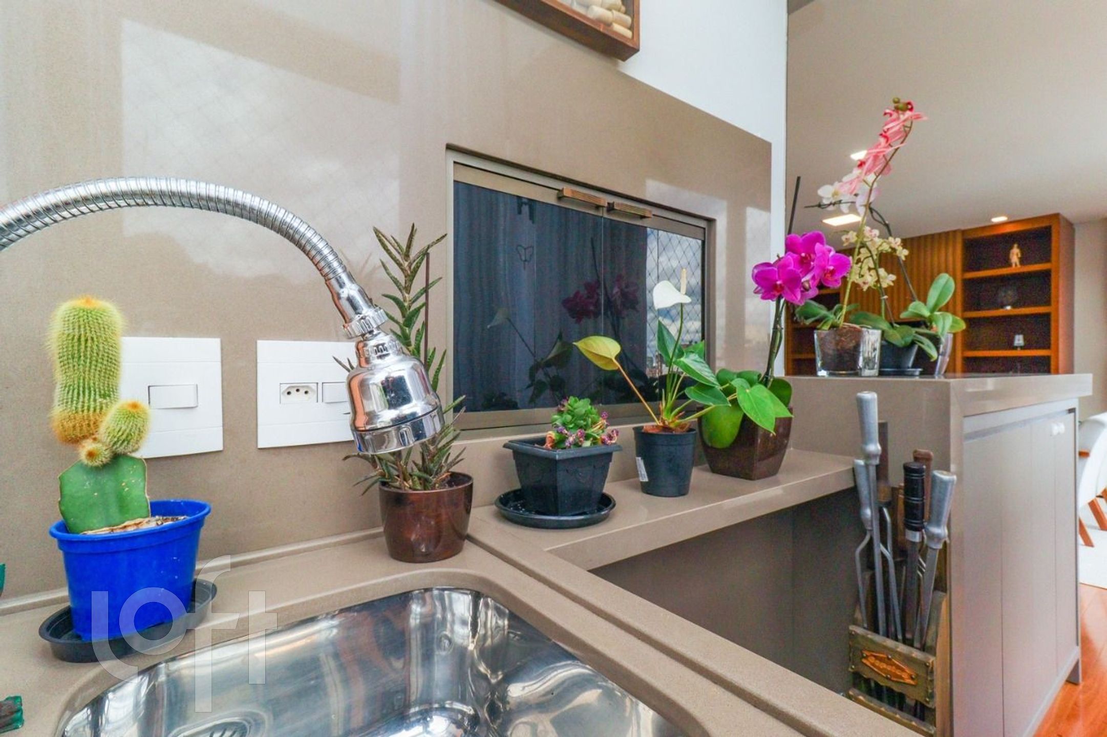 Imagem da propriedade 13