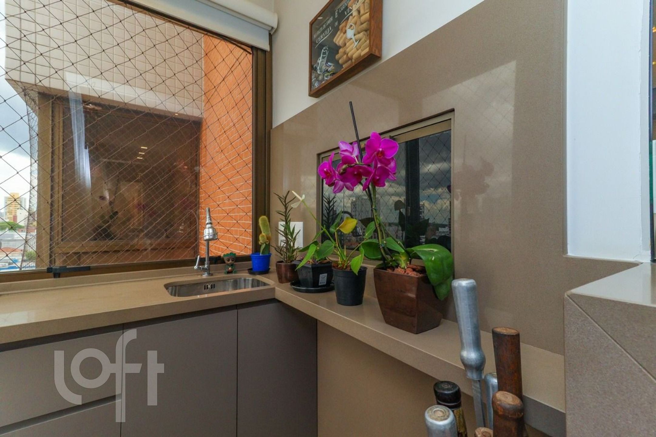 Imagem da propriedade 15