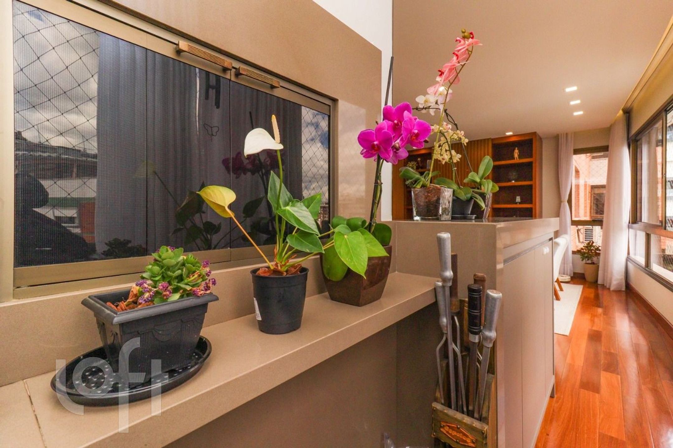 Imagem da propriedade 16