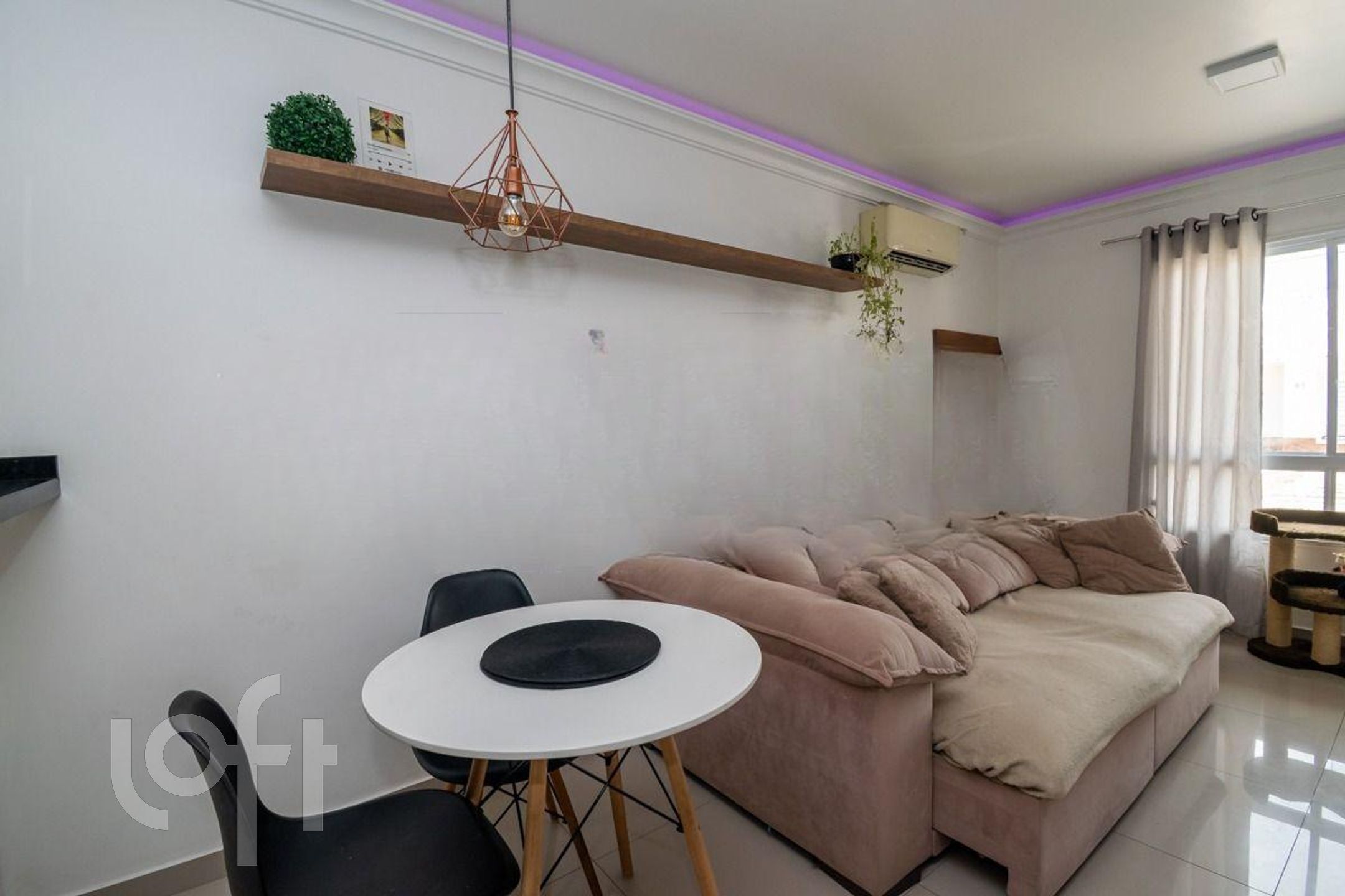 Imagem da propriedade 16