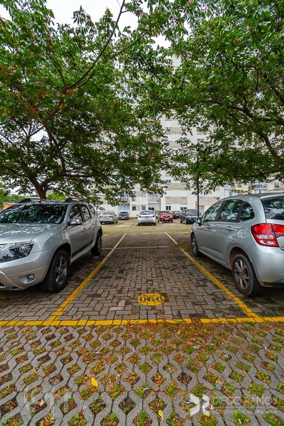 Imagem da propriedade 27