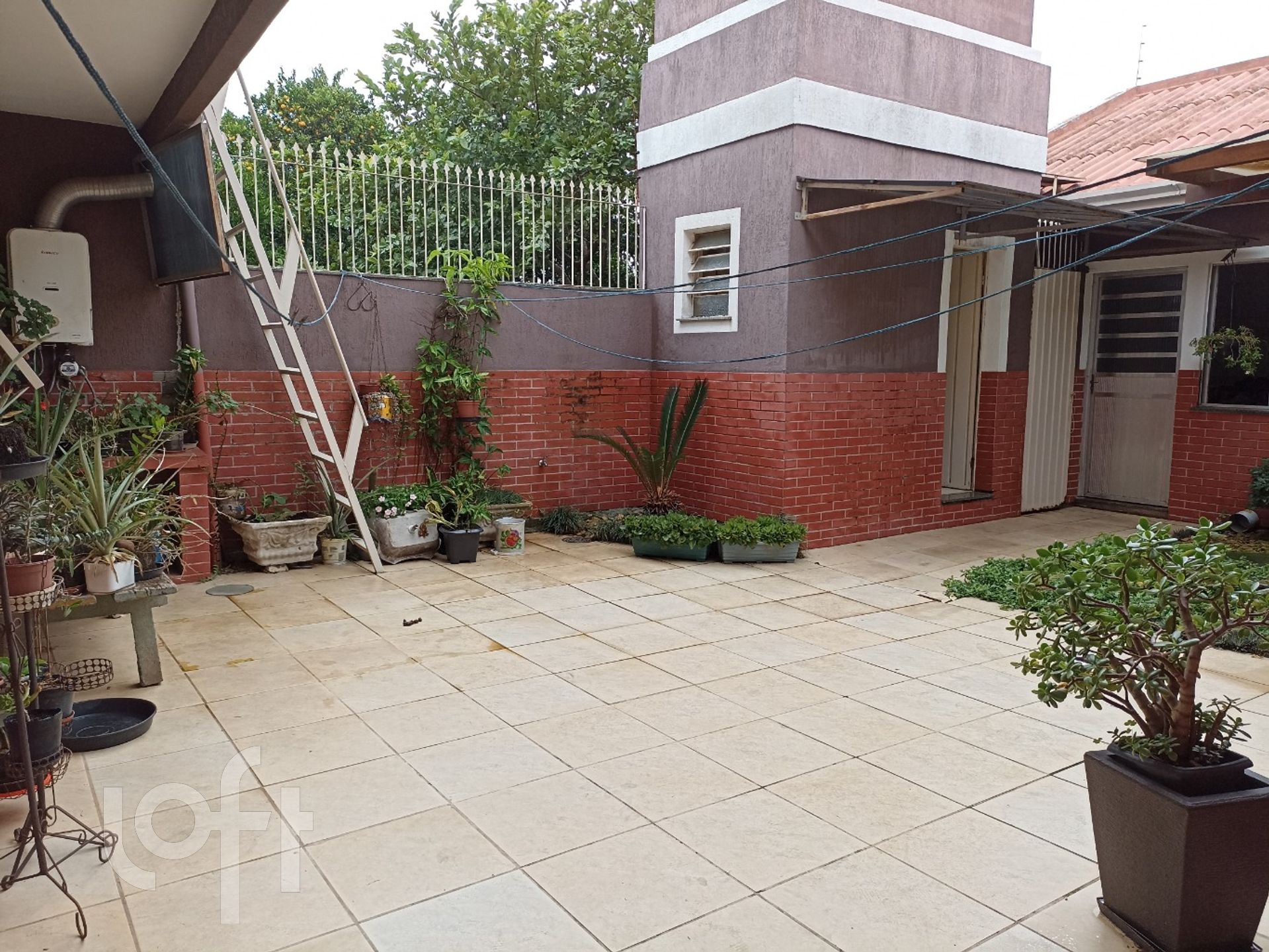 Imagem da propriedade 47