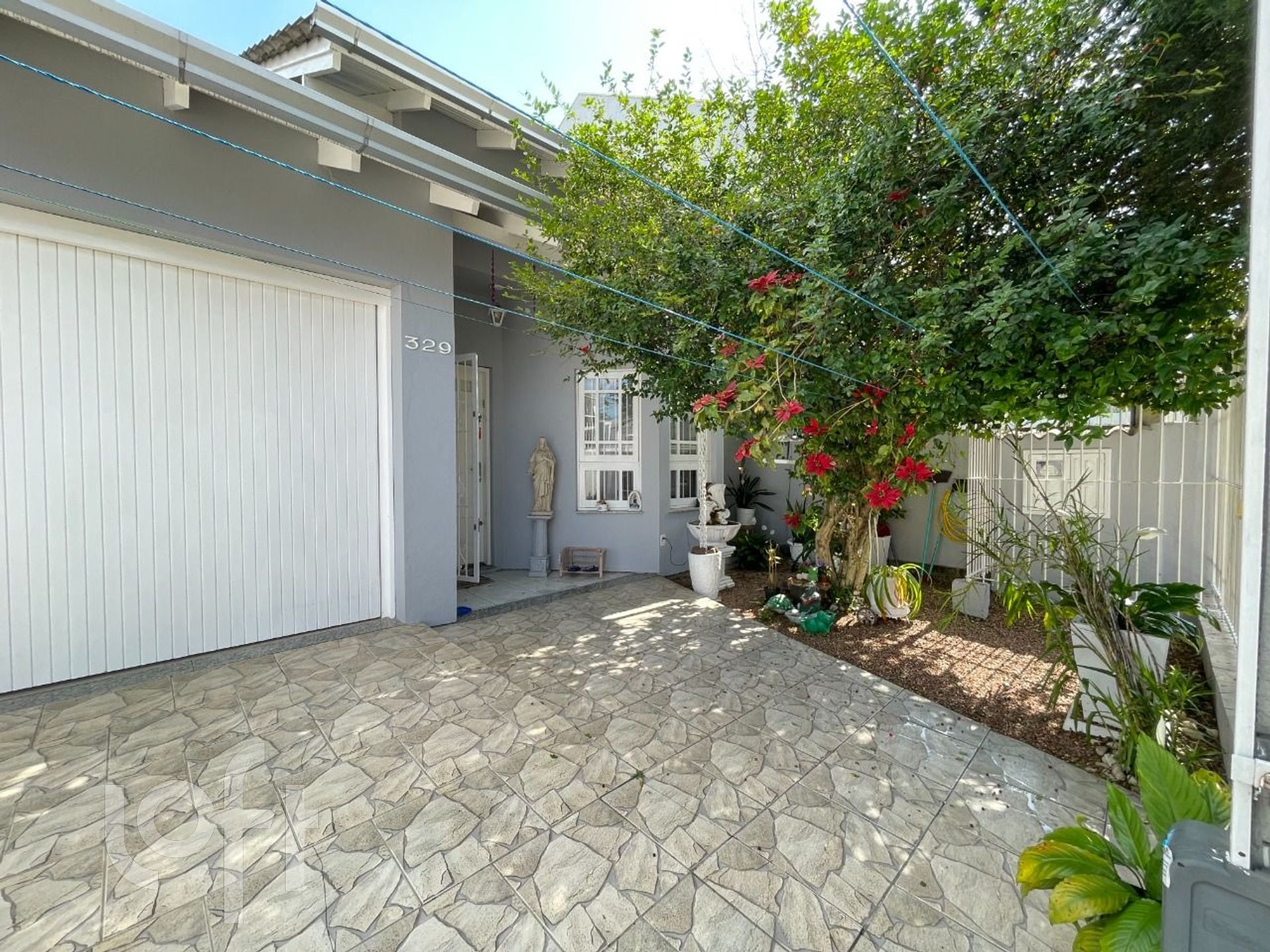 Imagem da propriedade 3