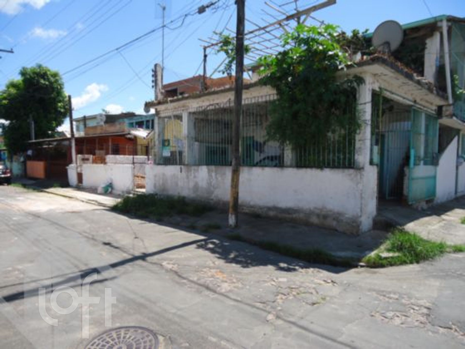 Imagem da propriedade 3