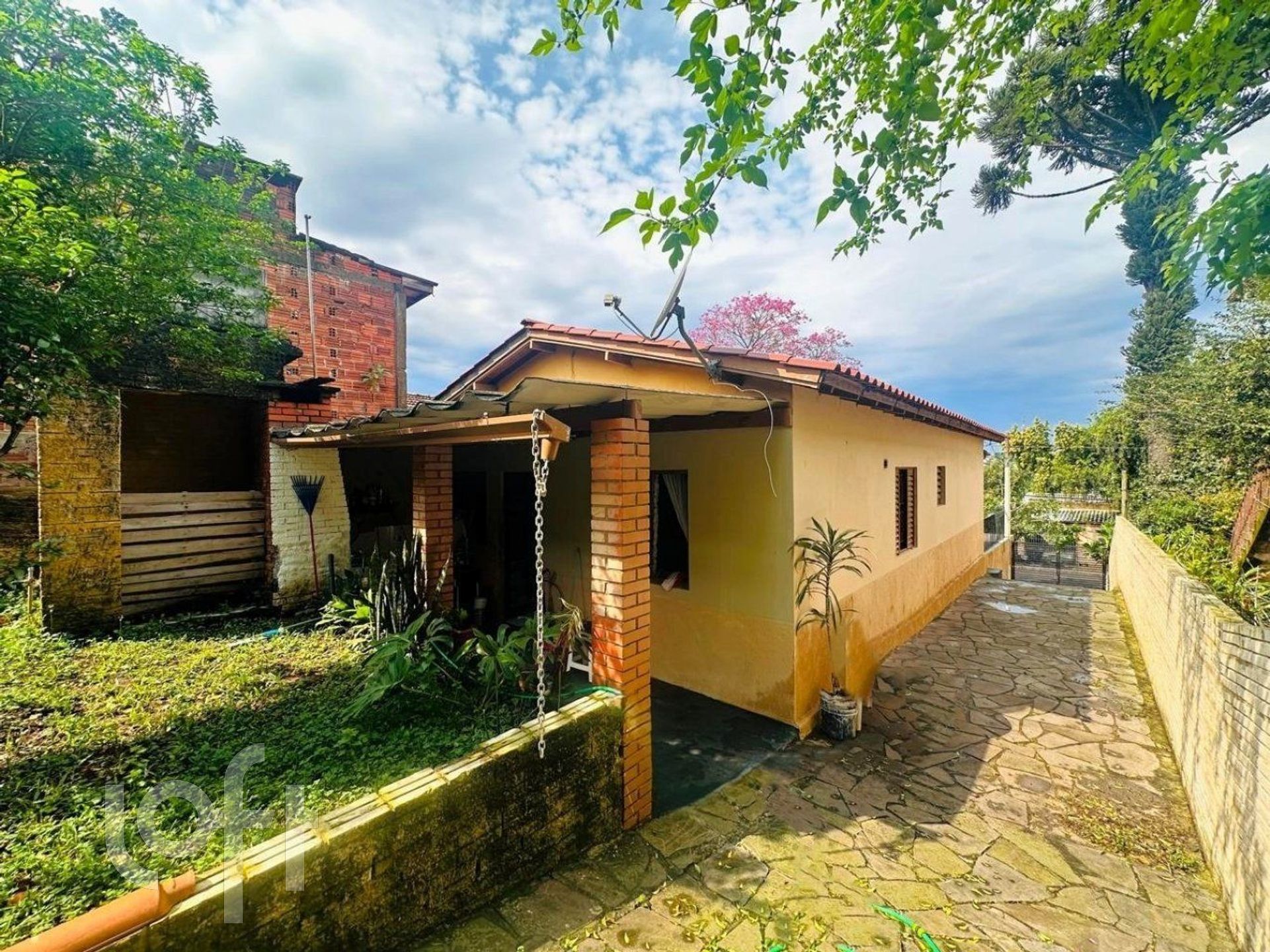 Imagem da propriedade 34