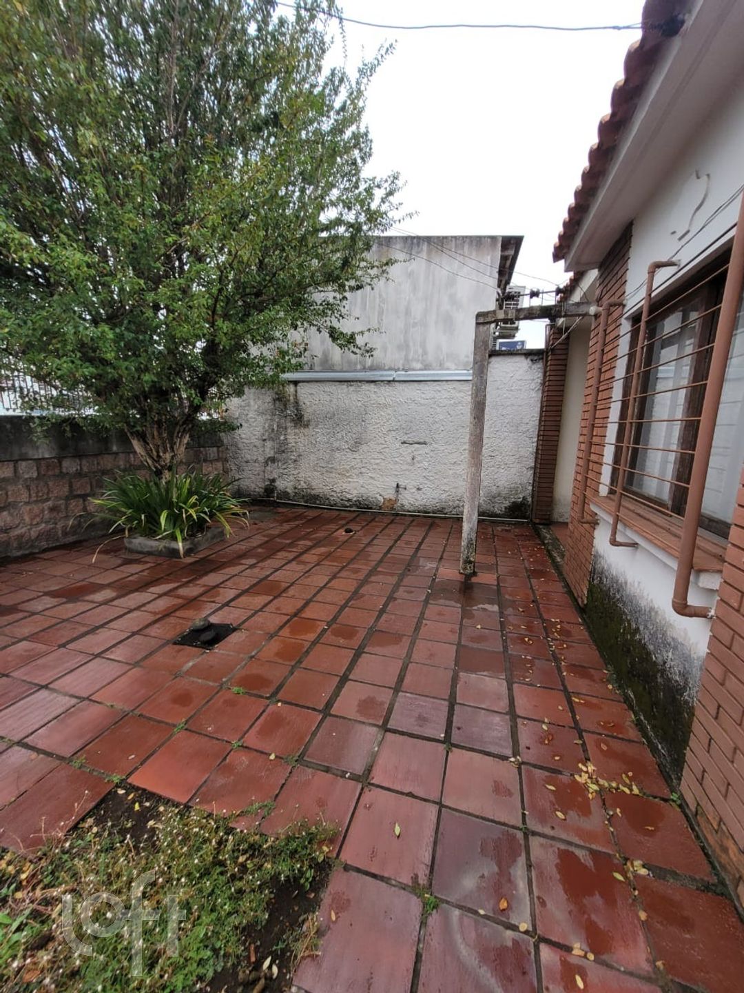 Imagem da propriedade 4
