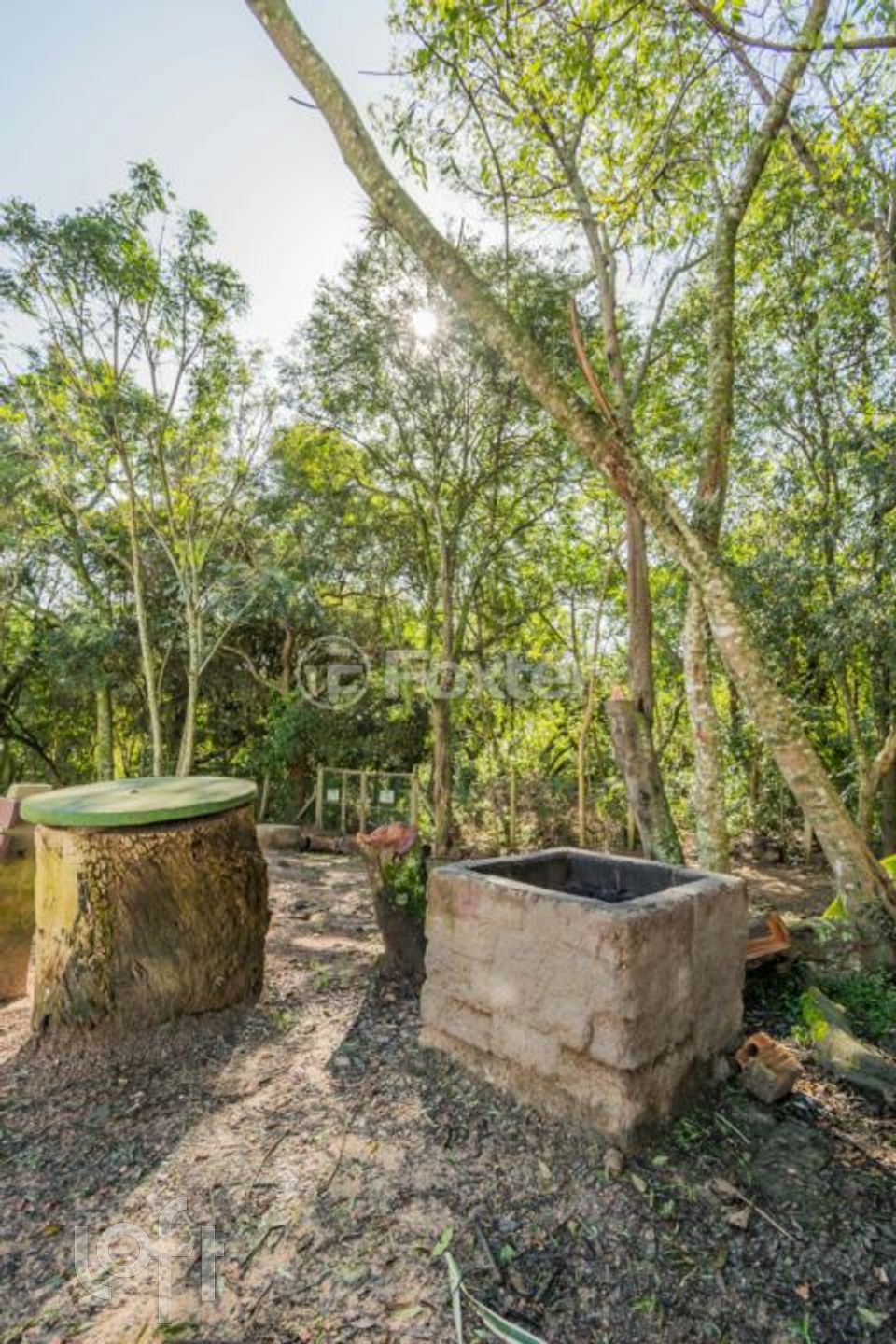 Imagem da propriedade 32