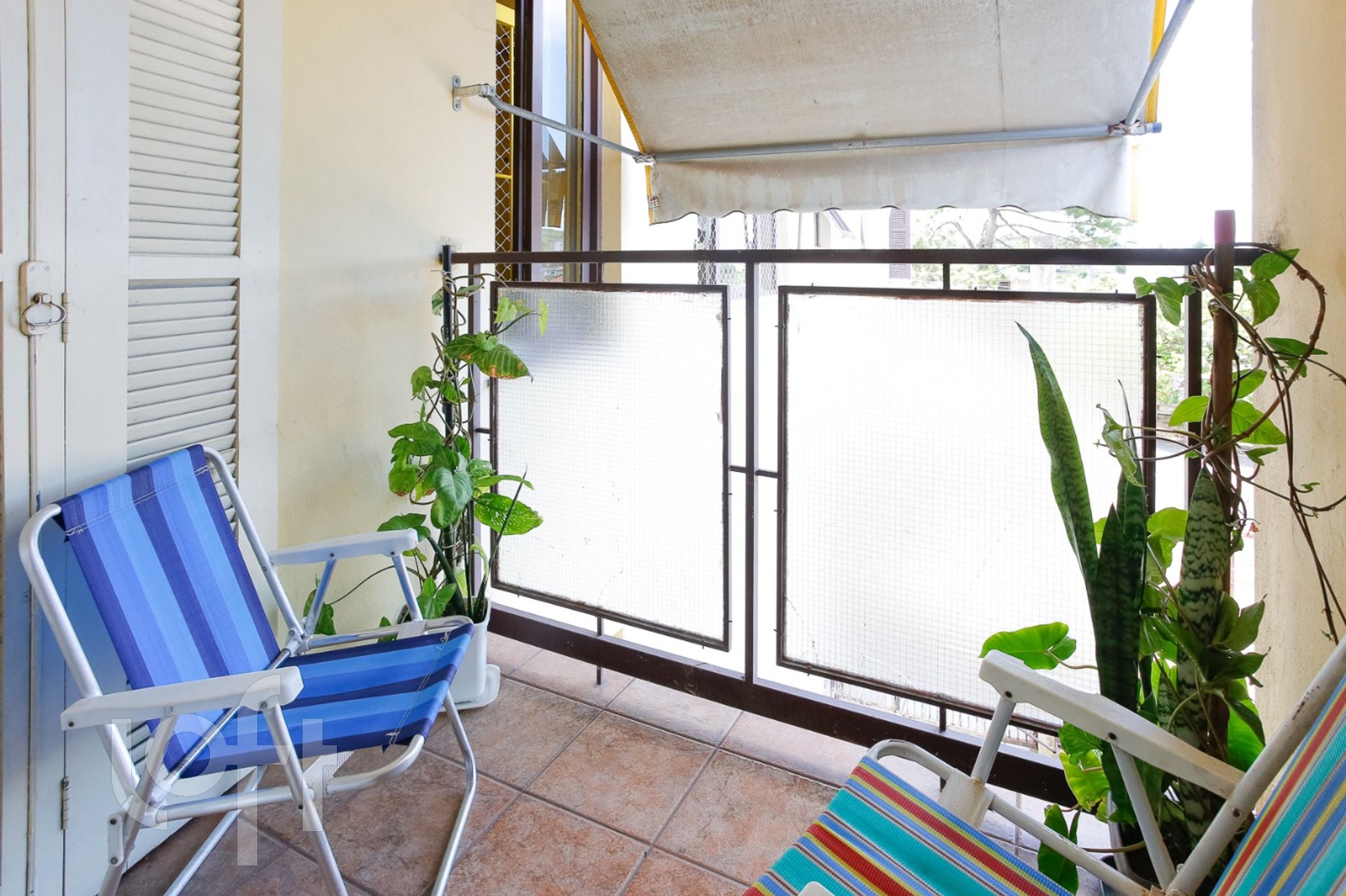 Imagem da propriedade 6