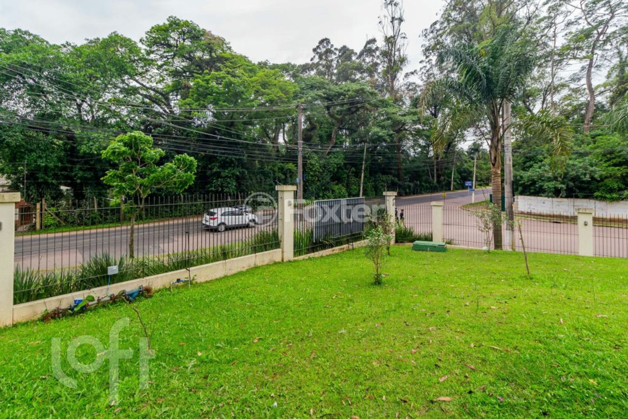 Imagem da propriedade 36
