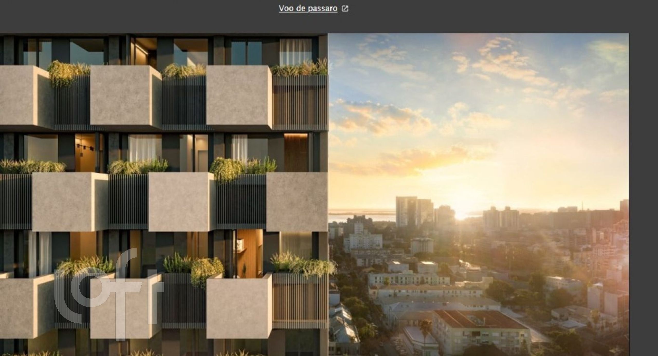 Imagem da propriedade 3