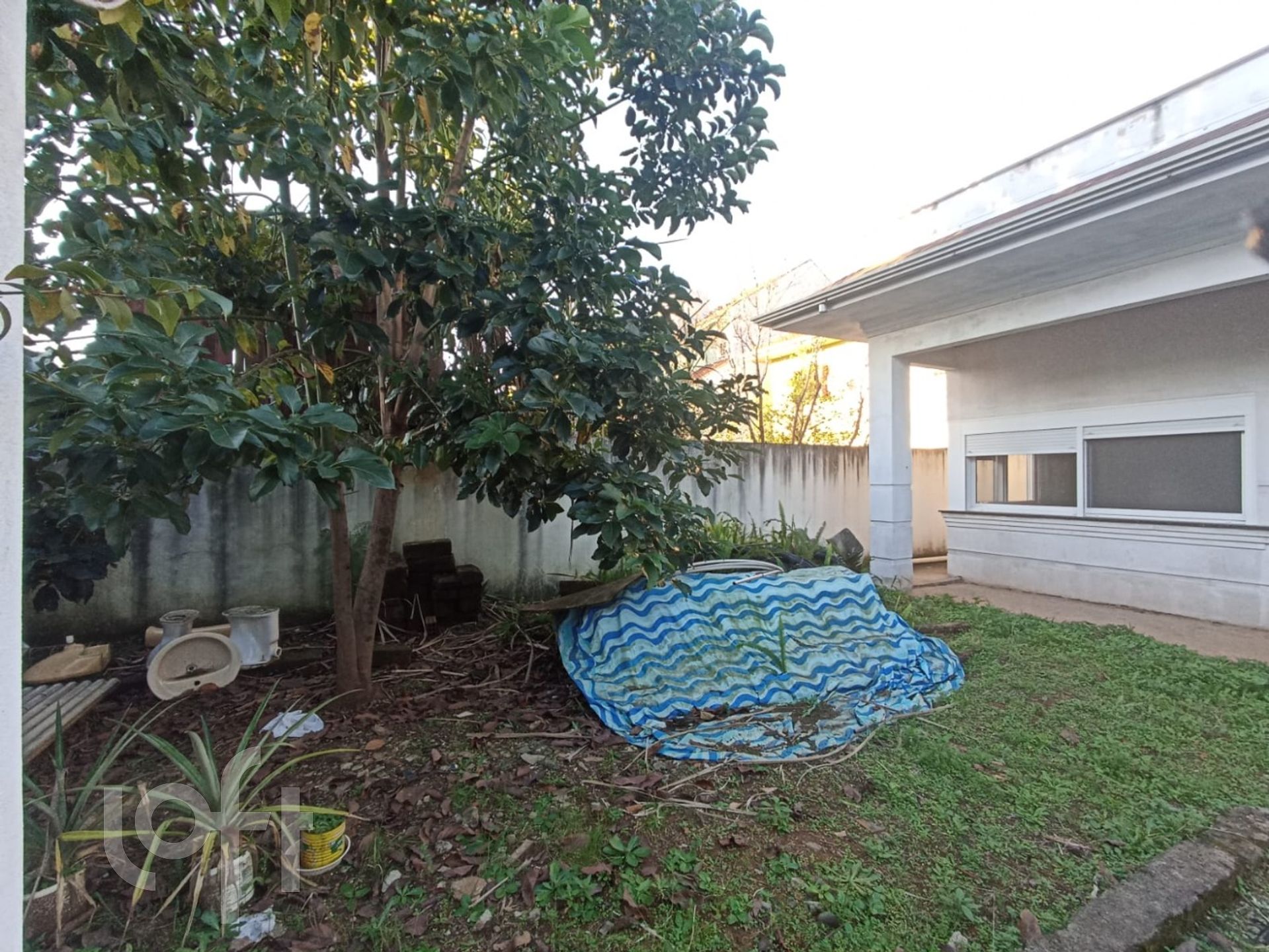 Imagem da propriedade 11