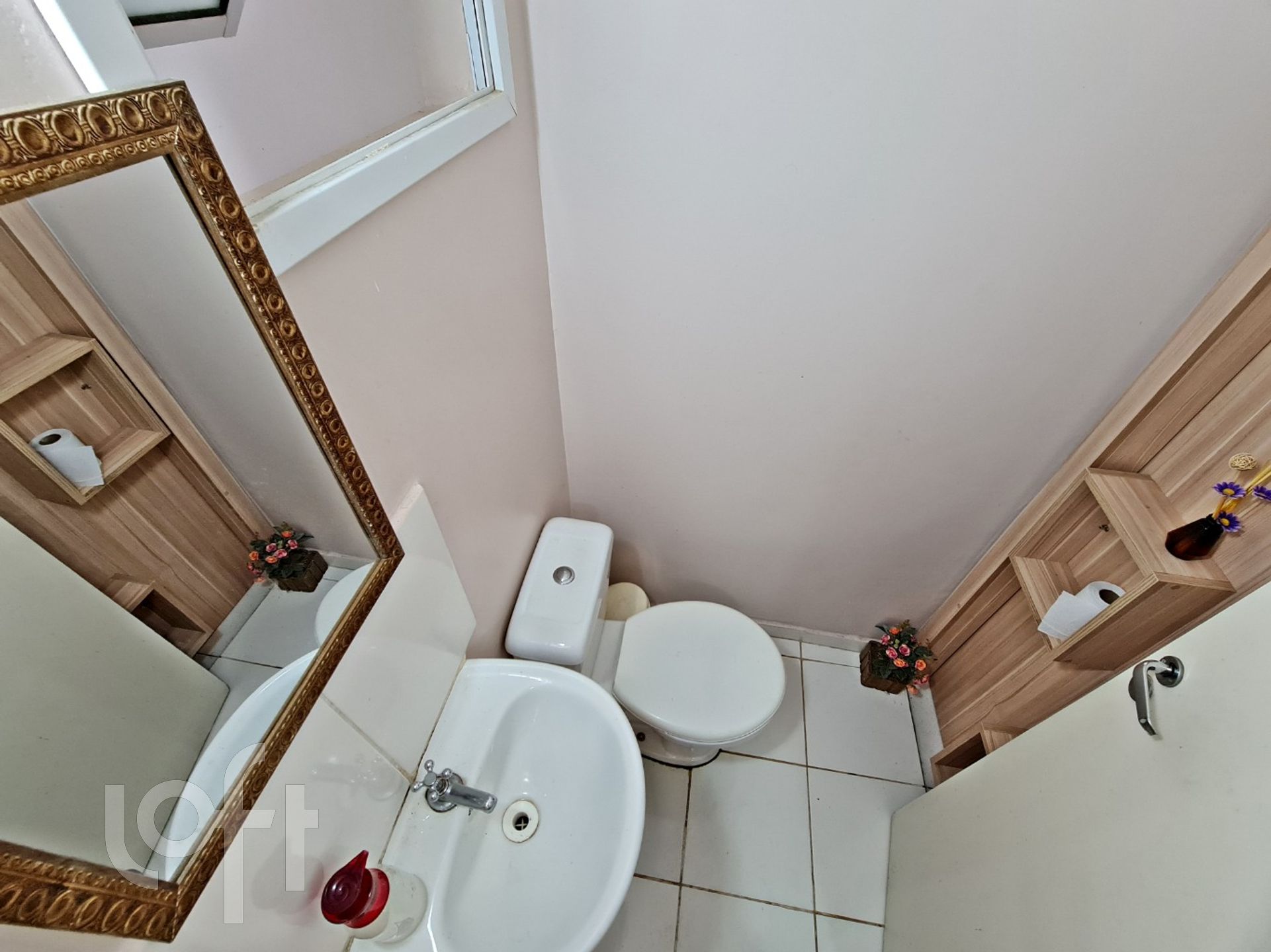 Imagem da propriedade 6