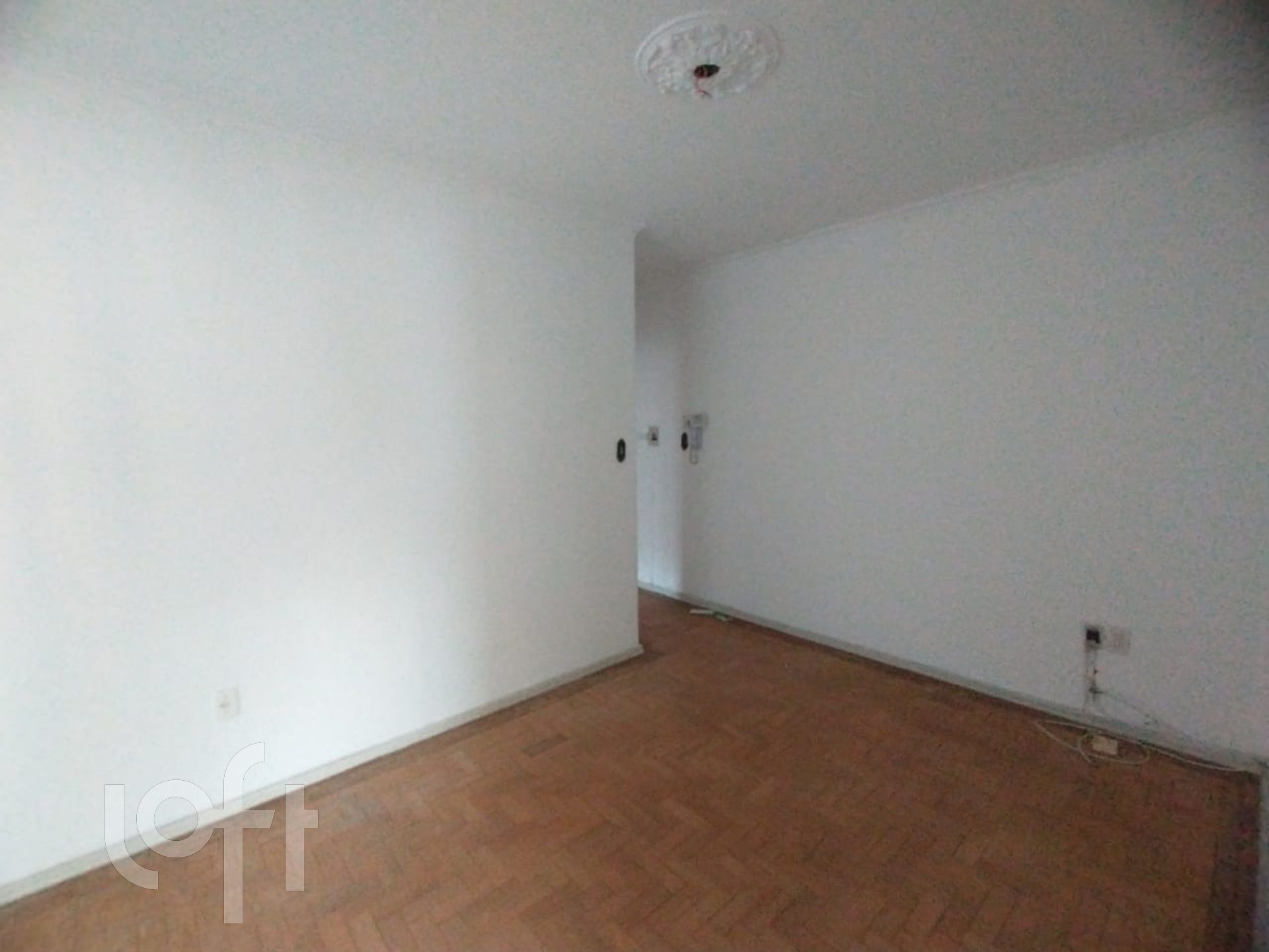 Imagem da propriedade 6