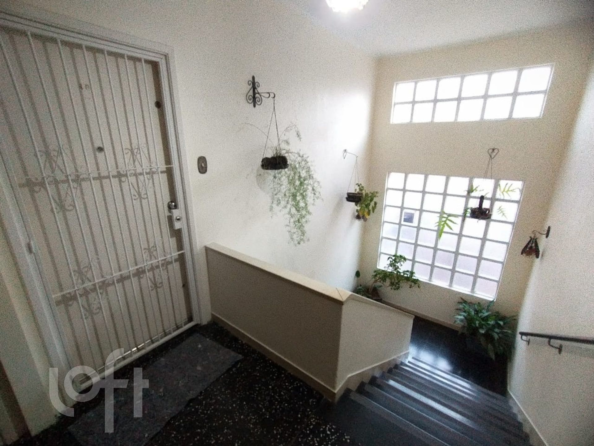 Imagem da propriedade 19