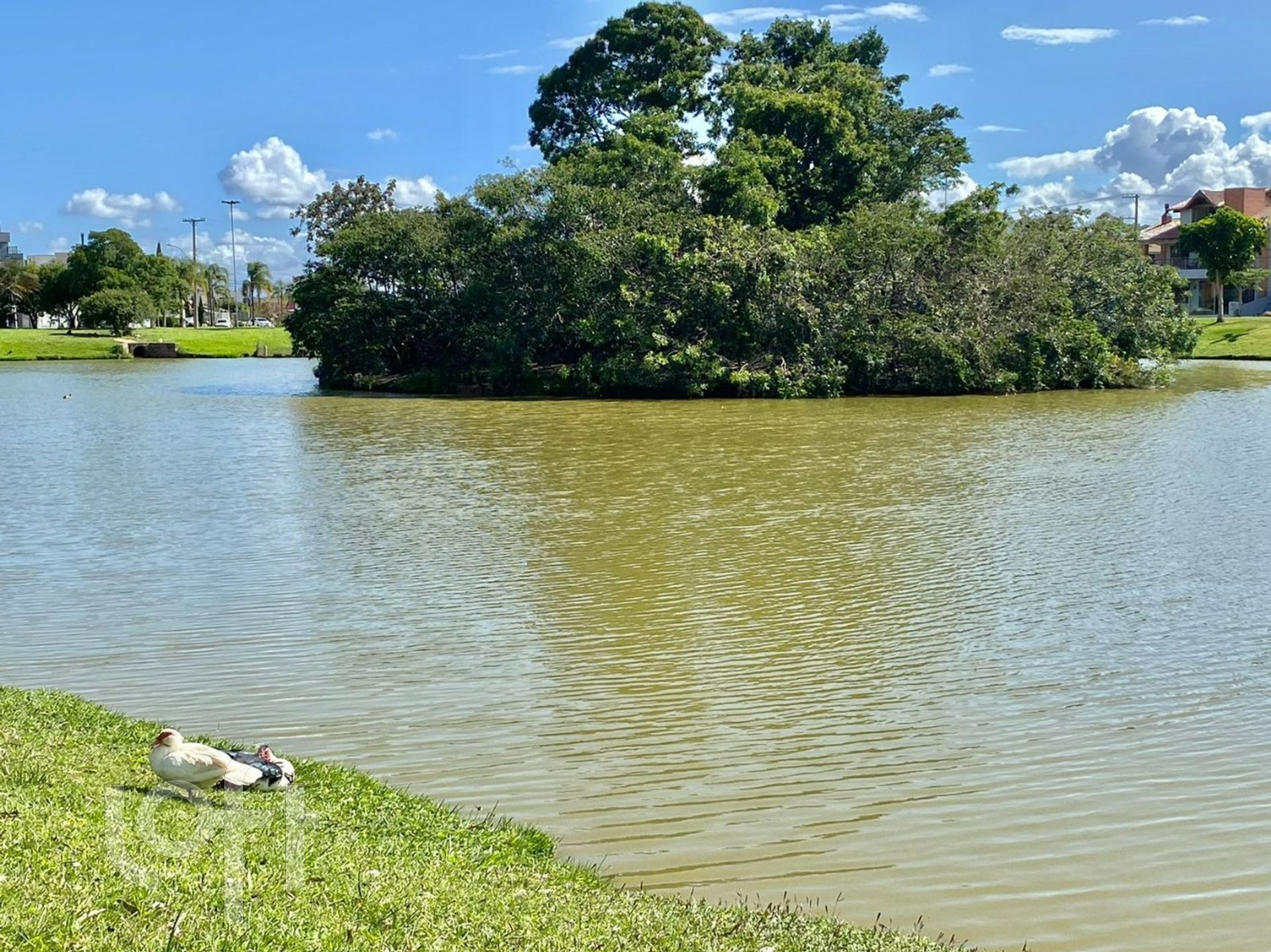 Imagem da propriedade 31