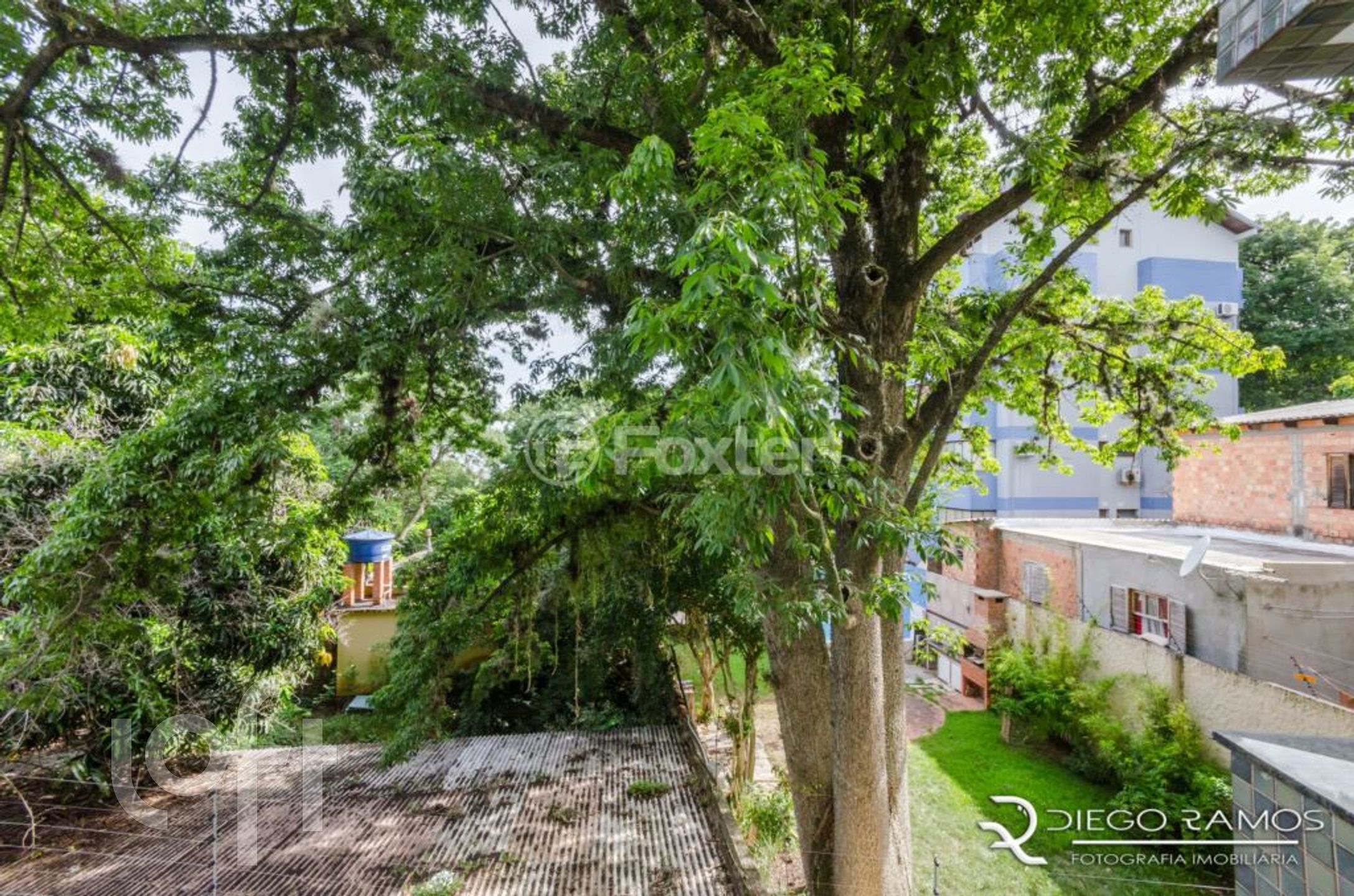 Imagem da propriedade 28