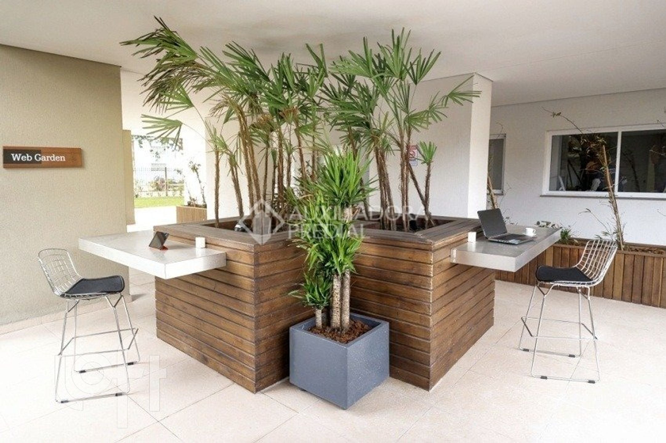 Imagem da propriedade 39